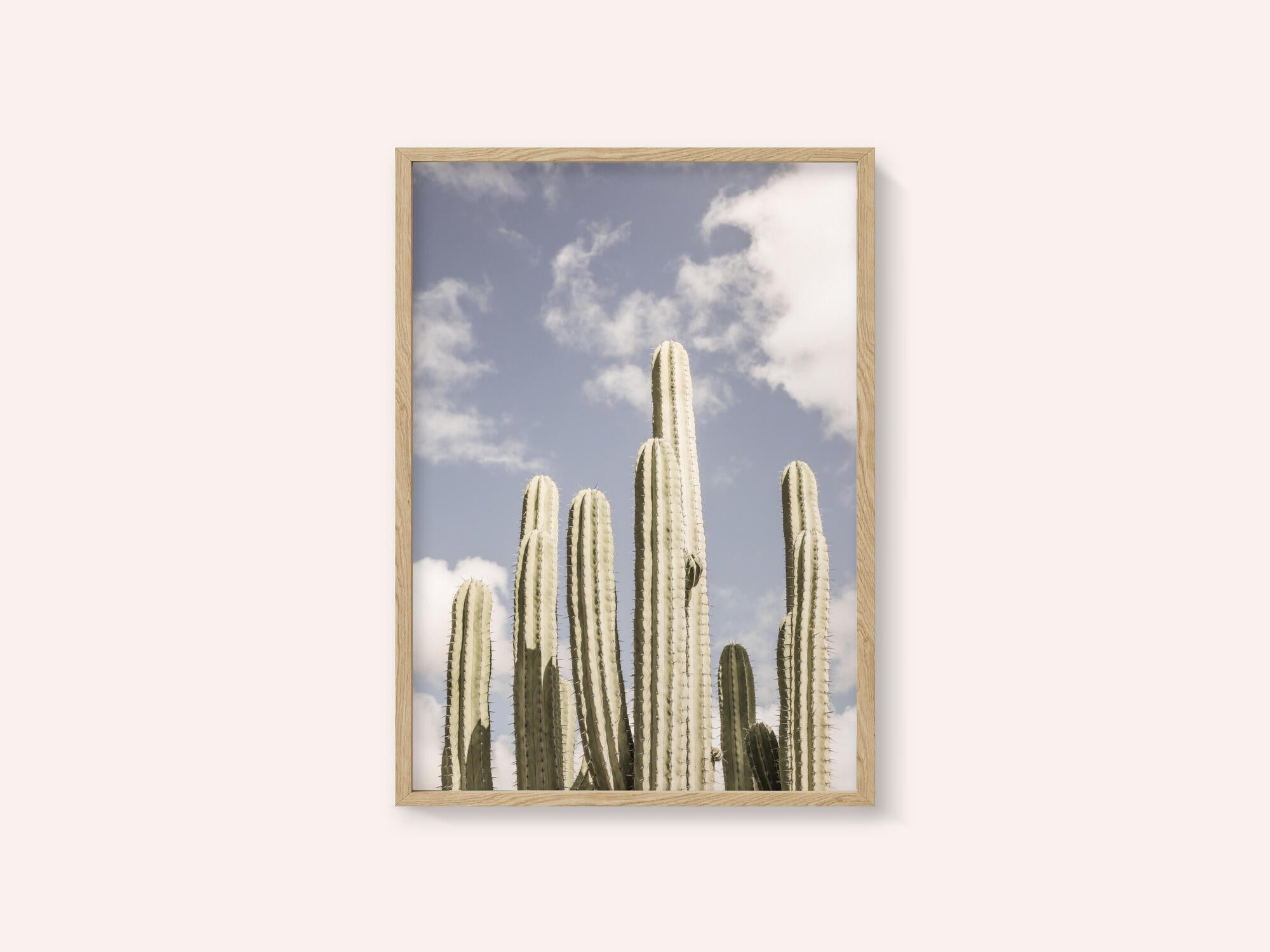 Desert Sentinels