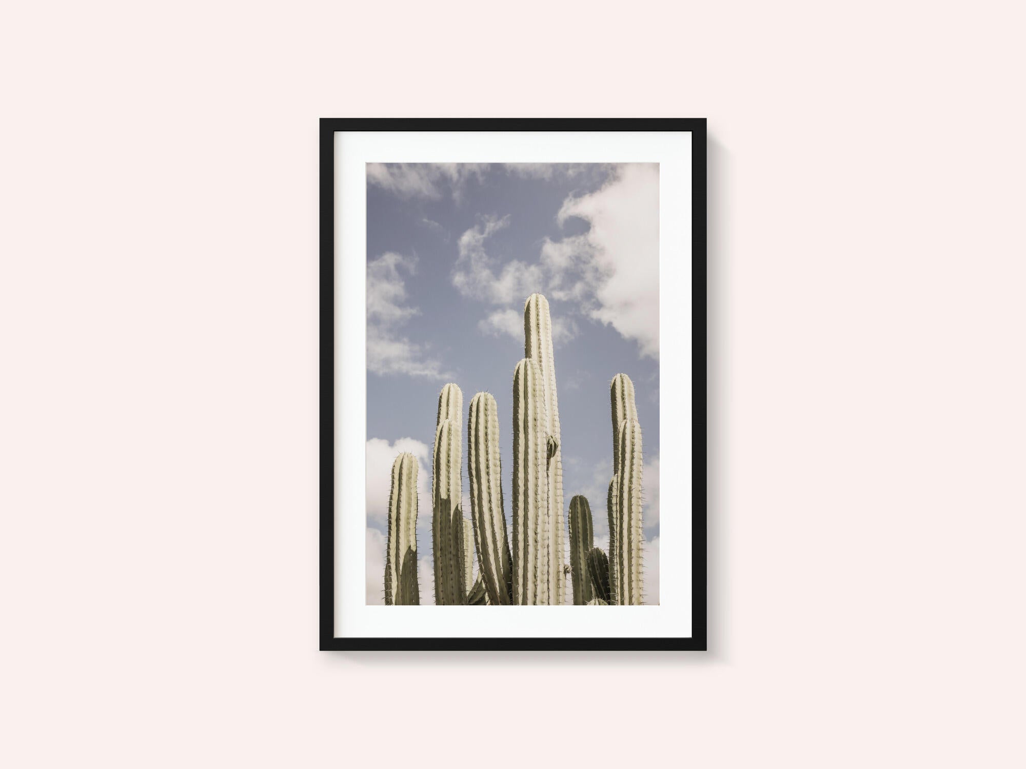 Desert Sentinels
