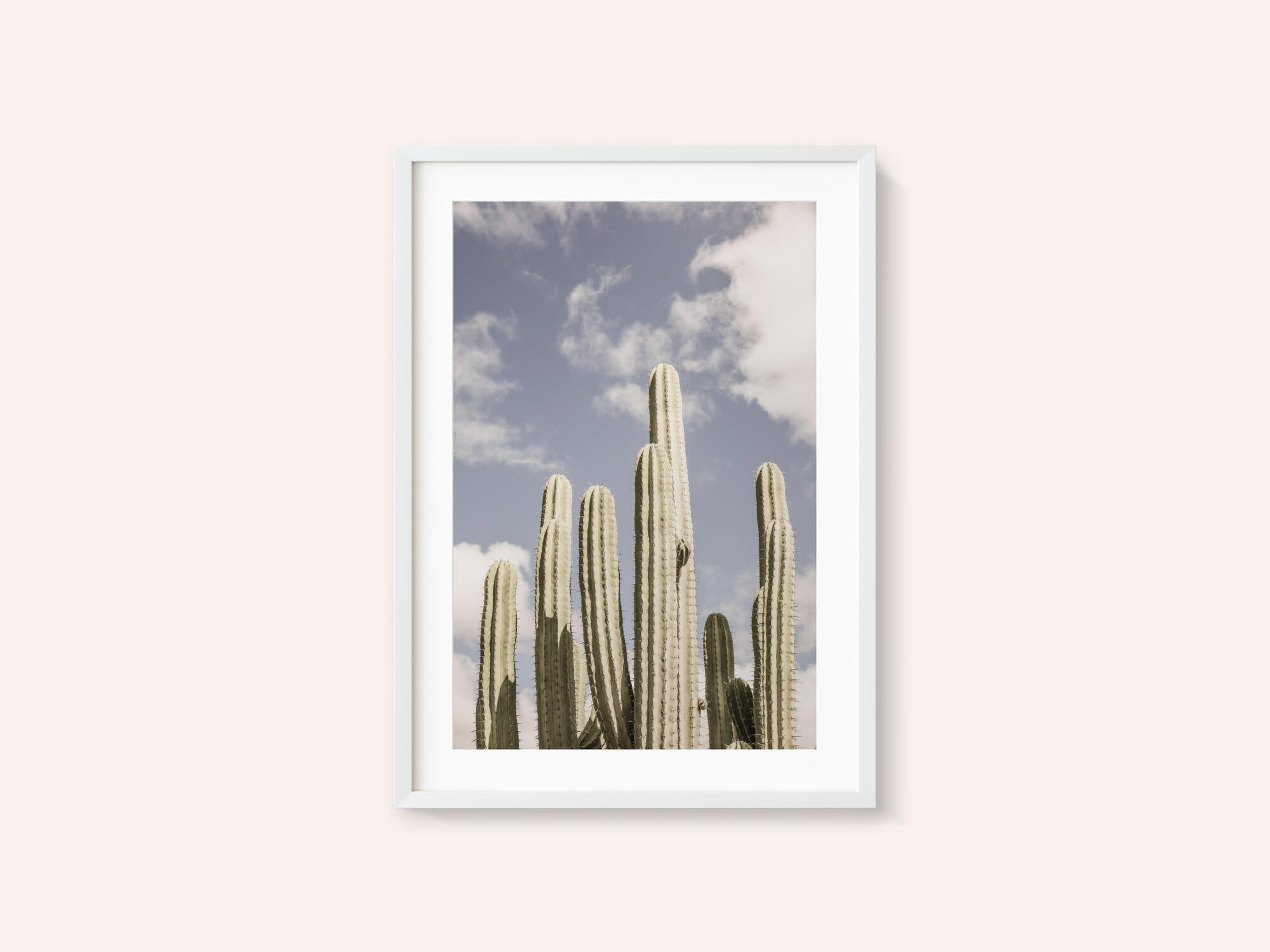 Desert Sentinels