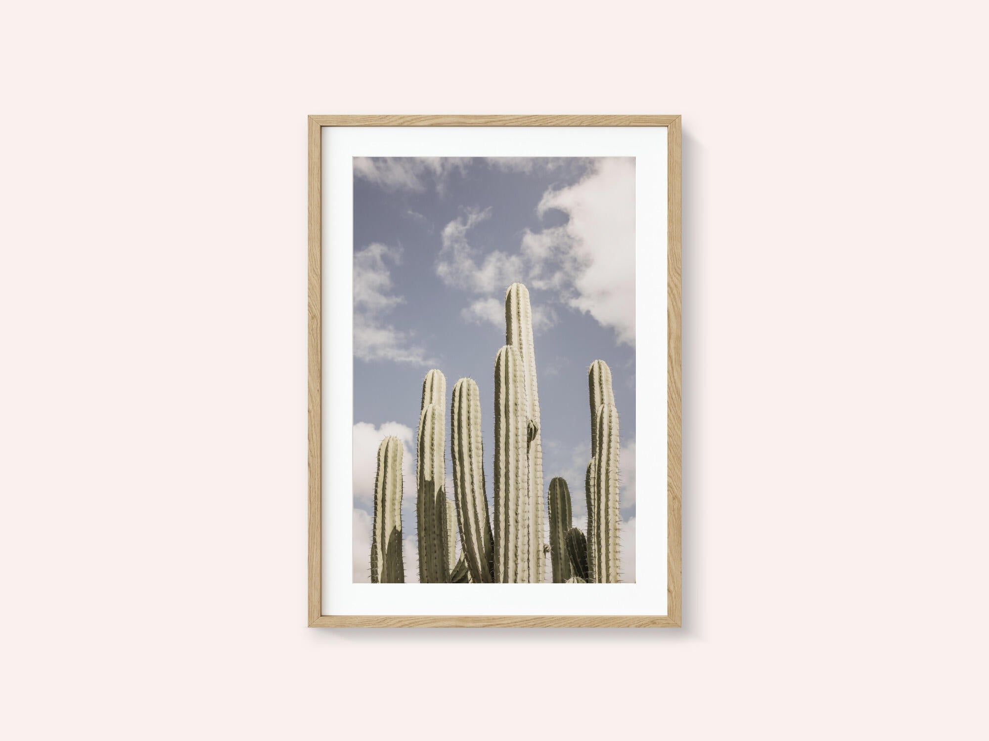 Desert Sentinels