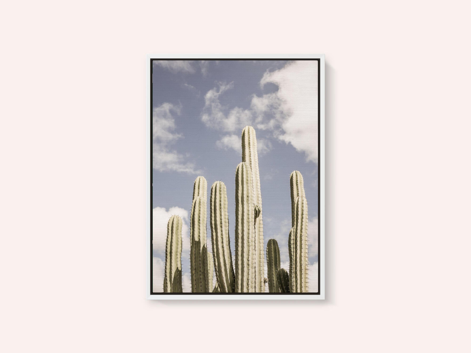 Desert Sentinels