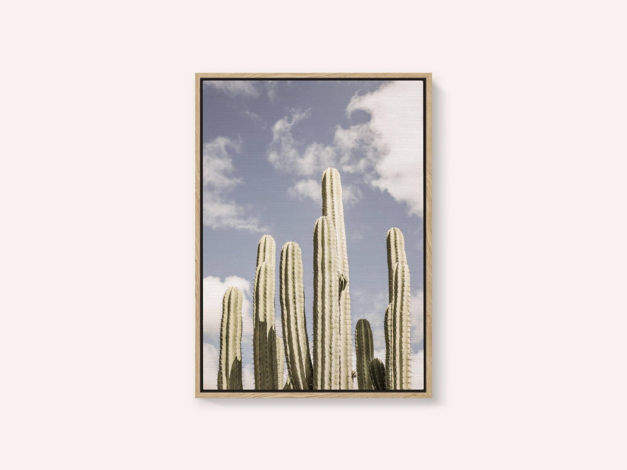 Desert Sentinels