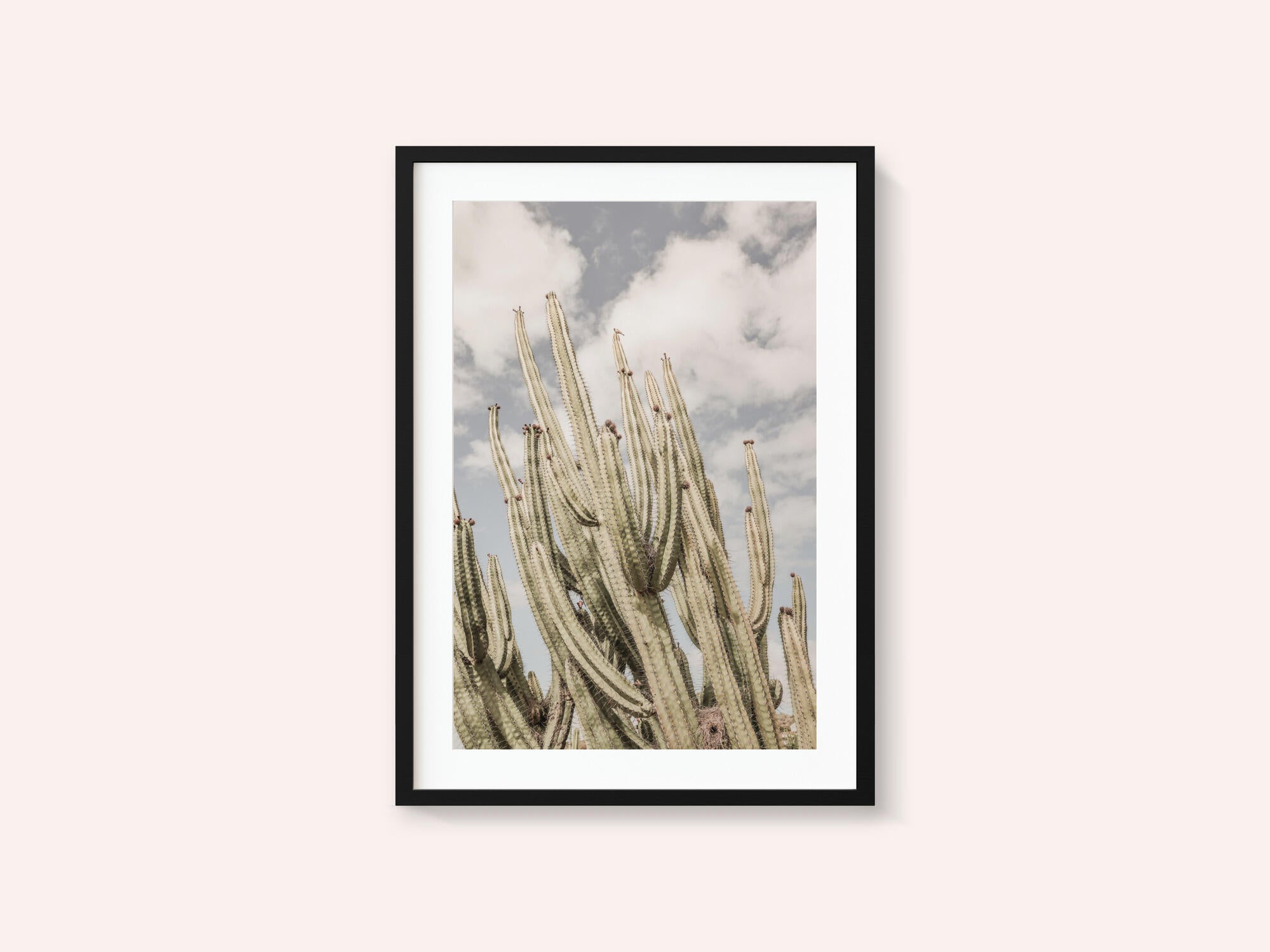 Desert Sentinels