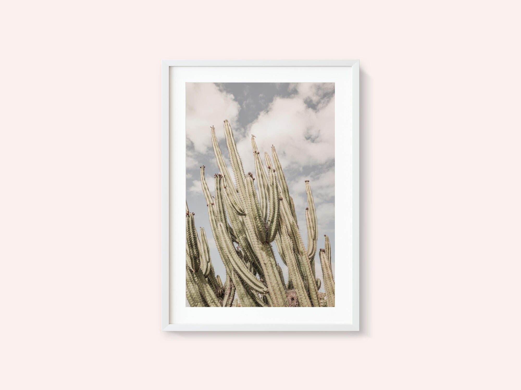 Desert Sentinels