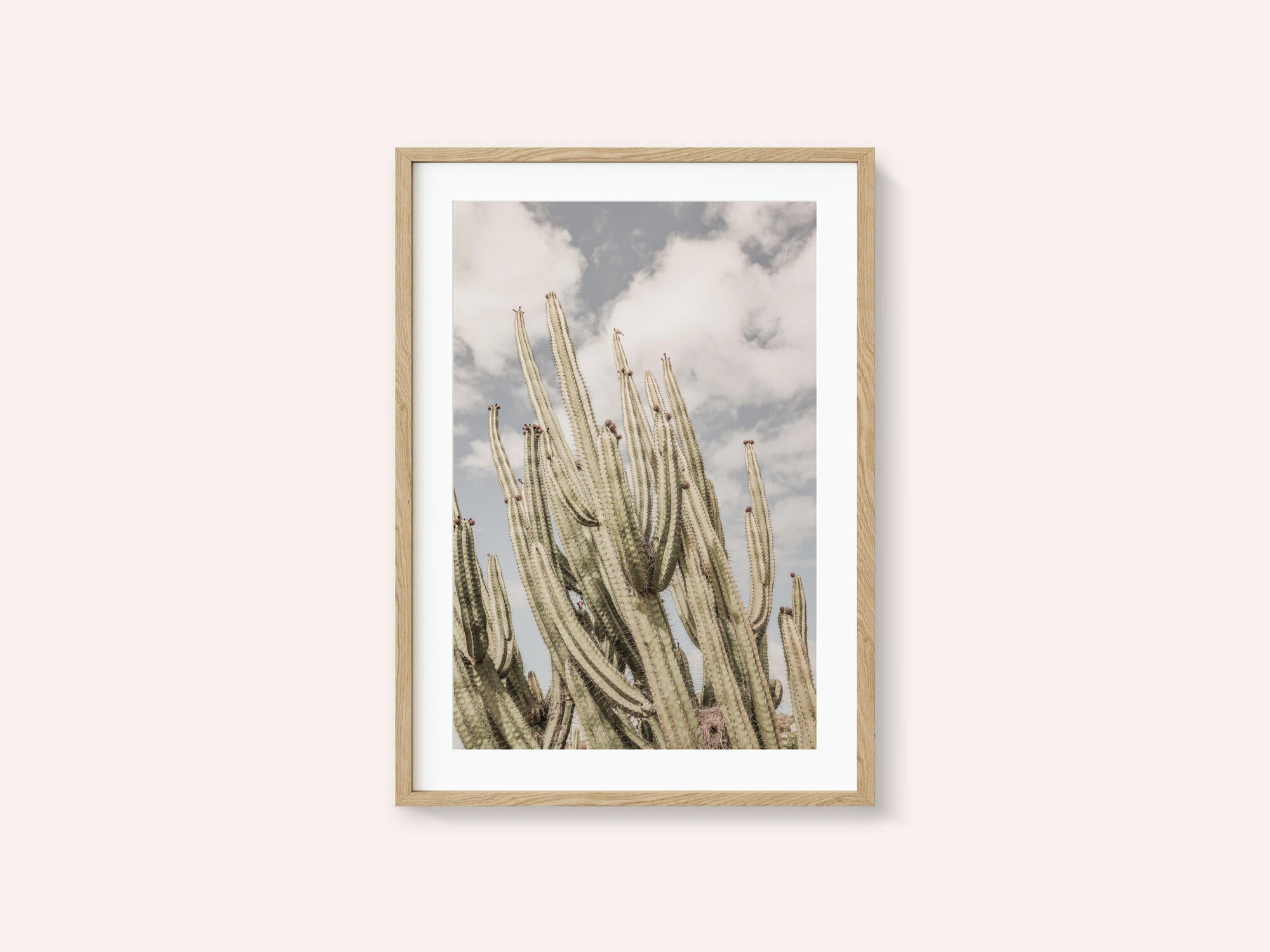 Desert Sentinels