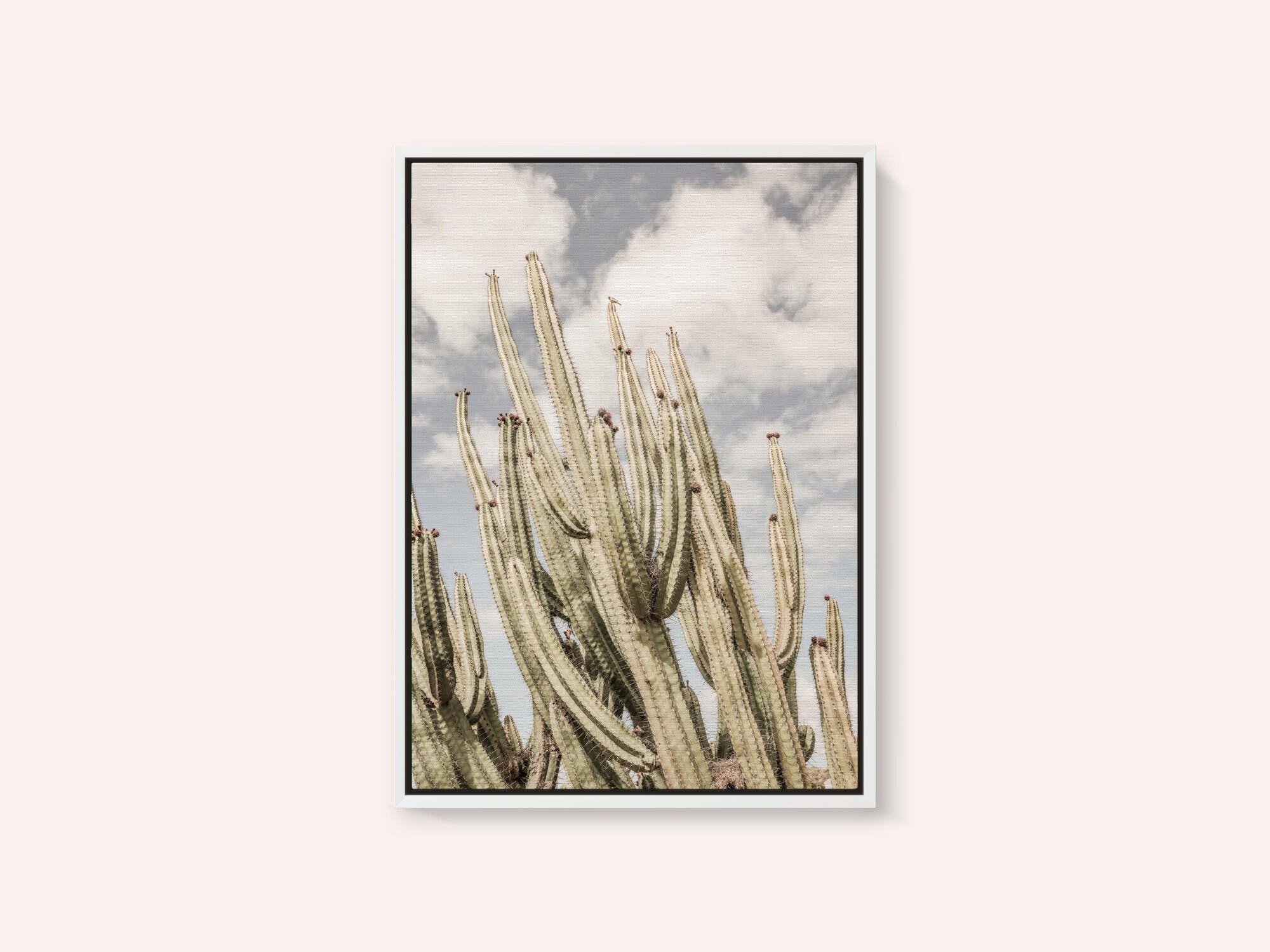 Desert Sentinels