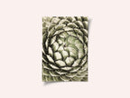 Geometric Succulent