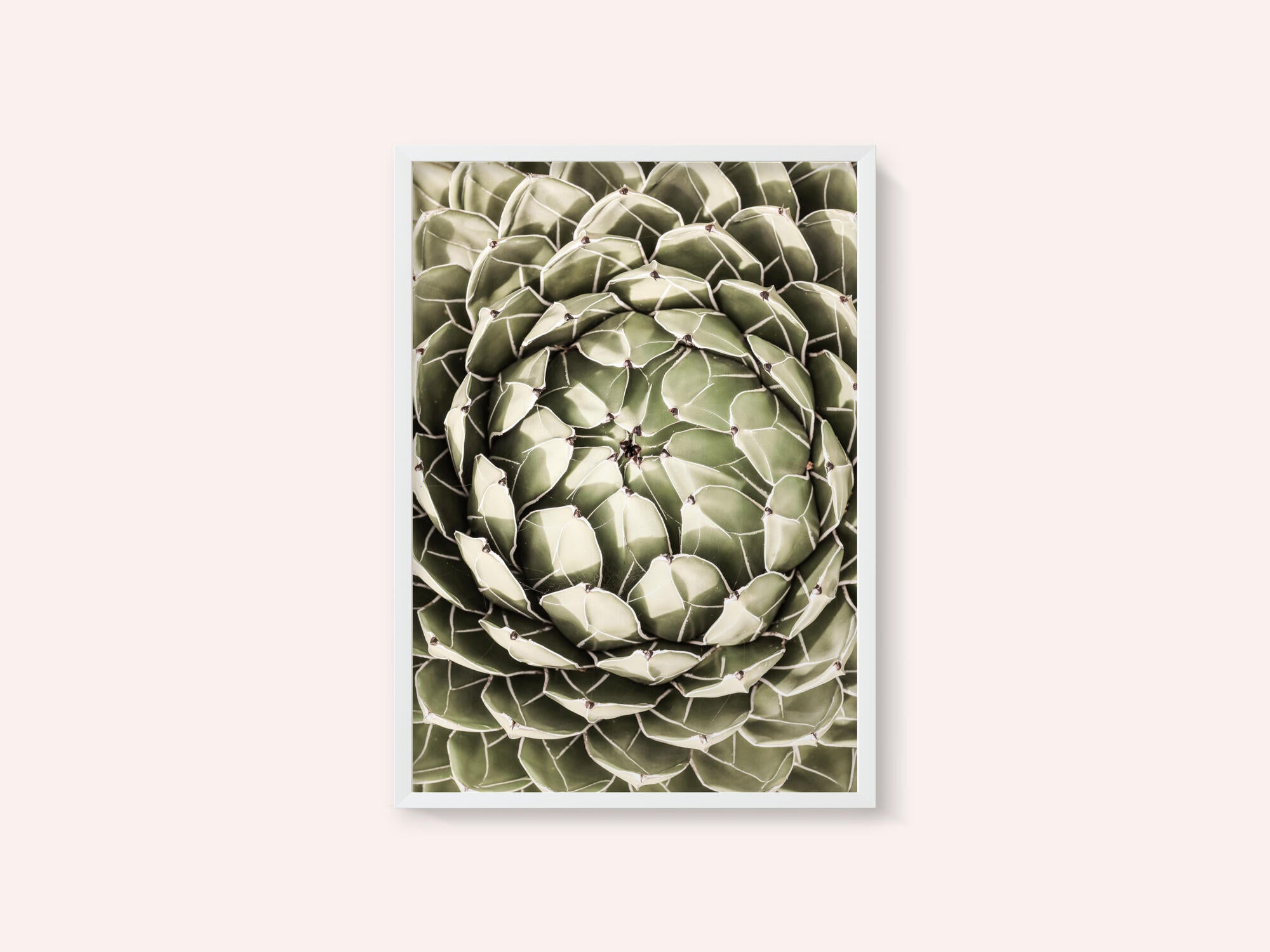 Geometric Succulent