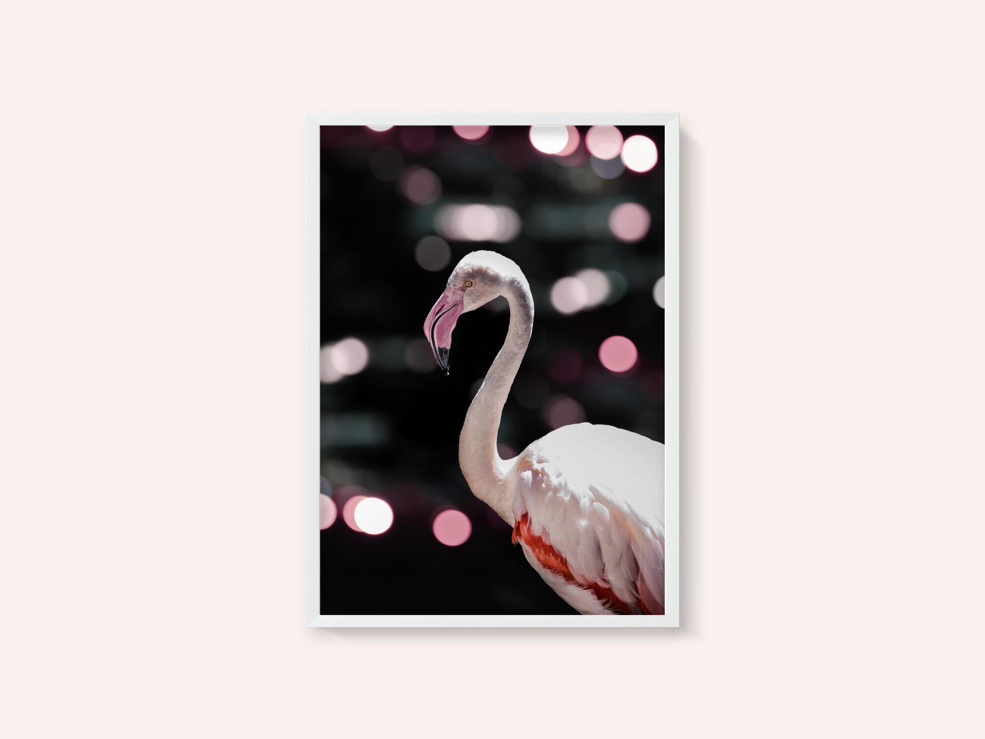 Flamingo Elegance