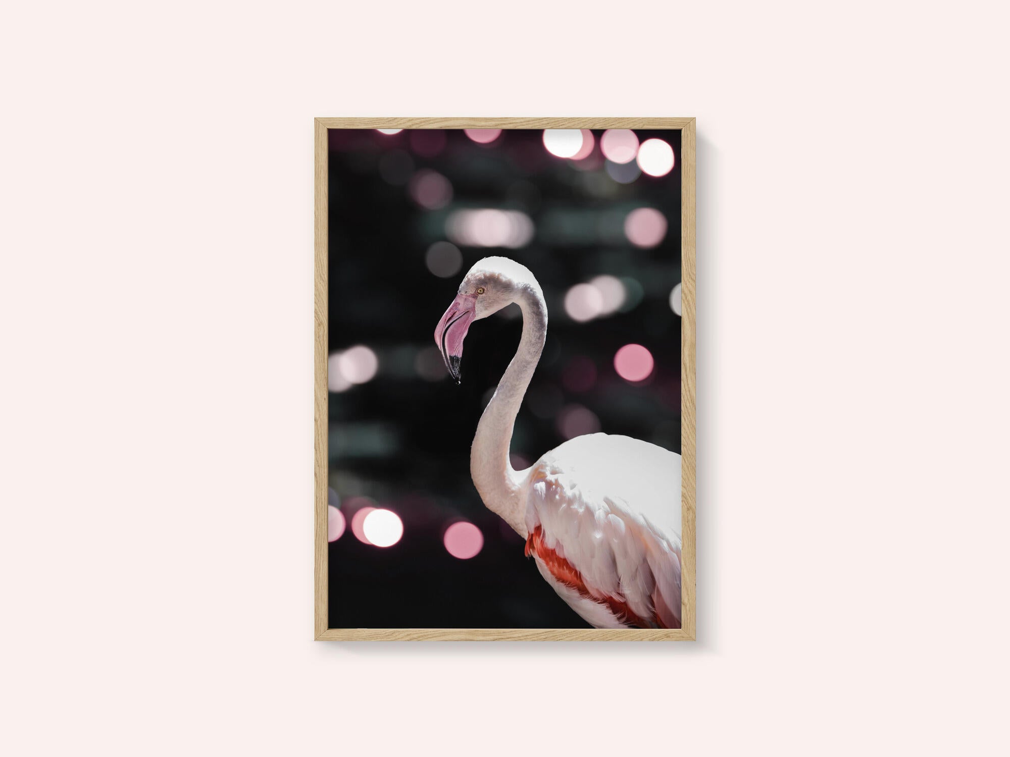 Flamingo Elegance