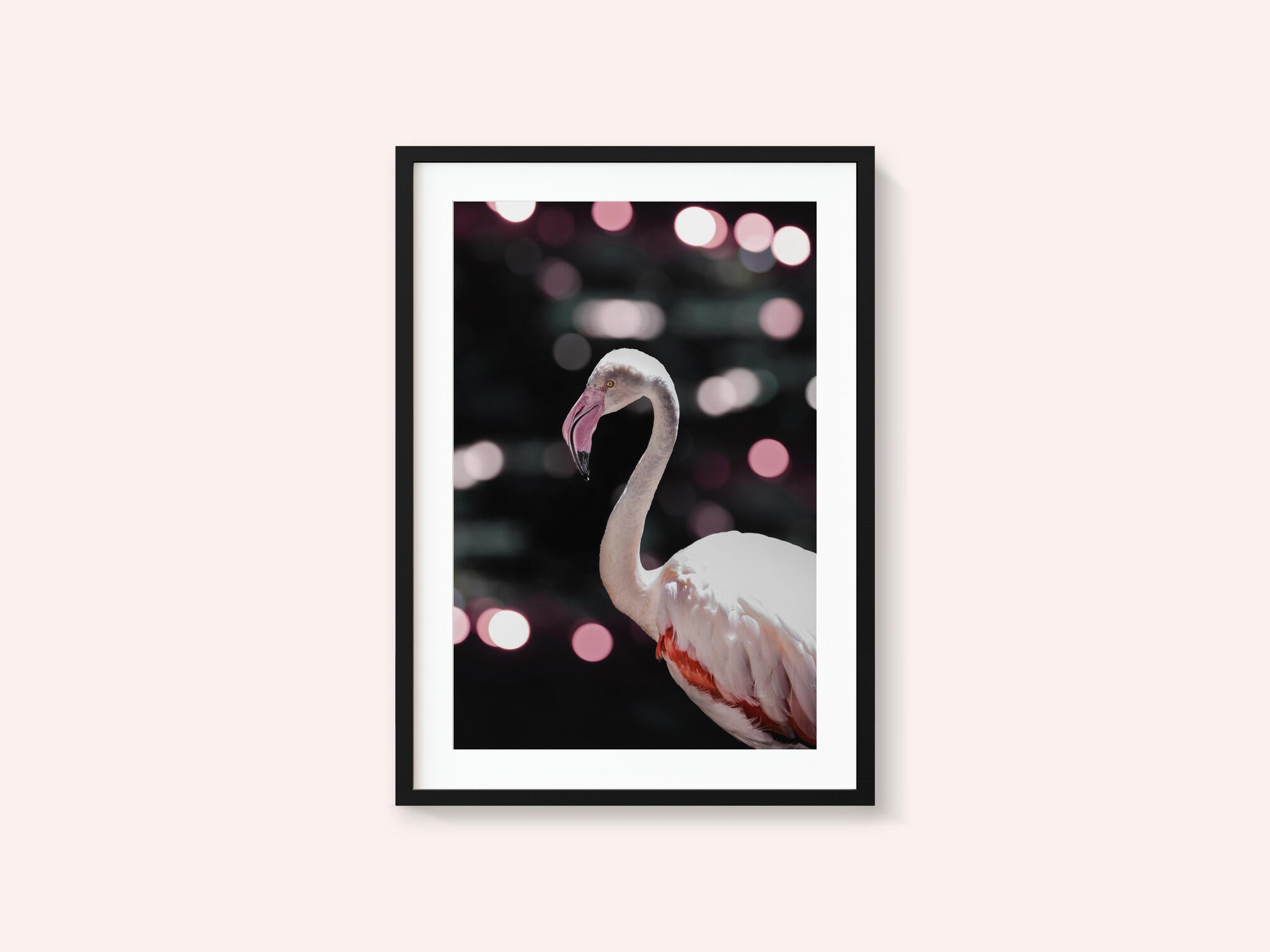 Flamingo Elegance