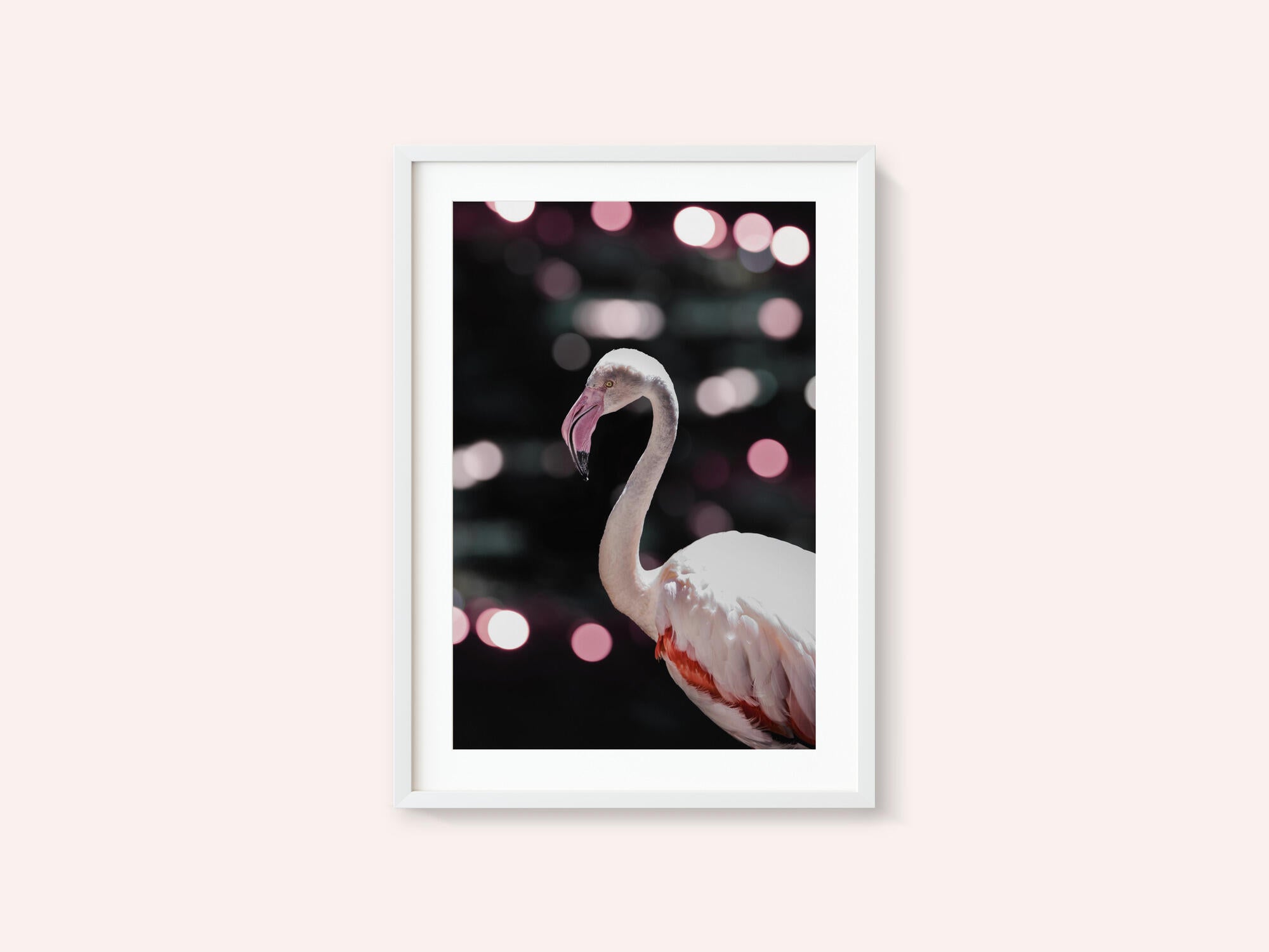 Flamingo Elegance