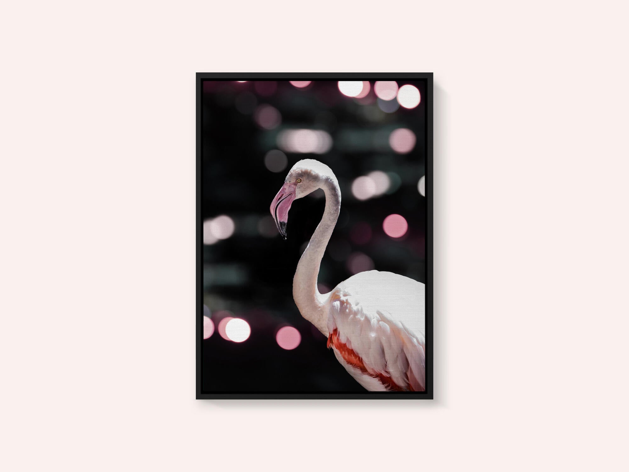 Flamingo Elegance