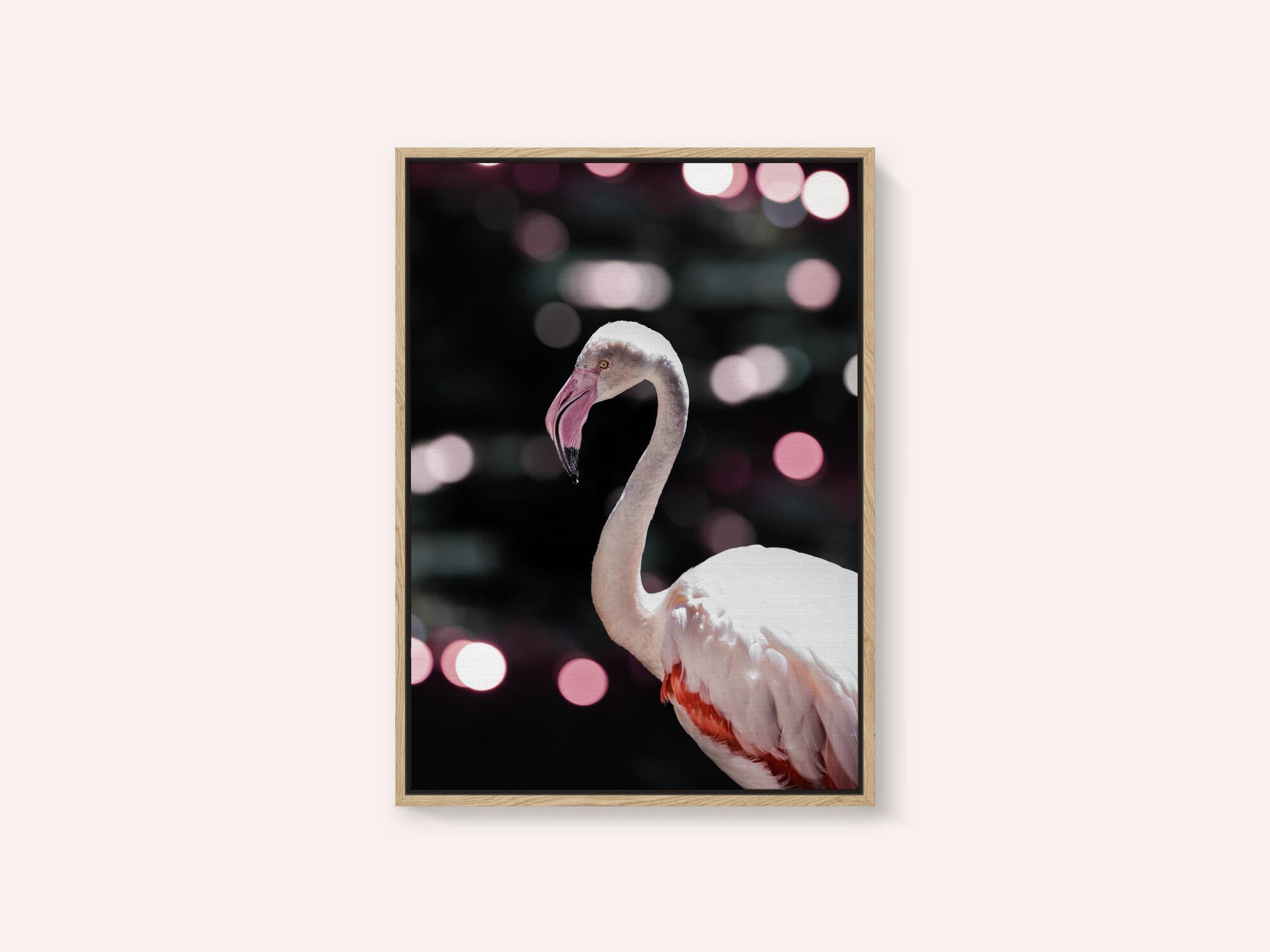 Flamingo Elegance