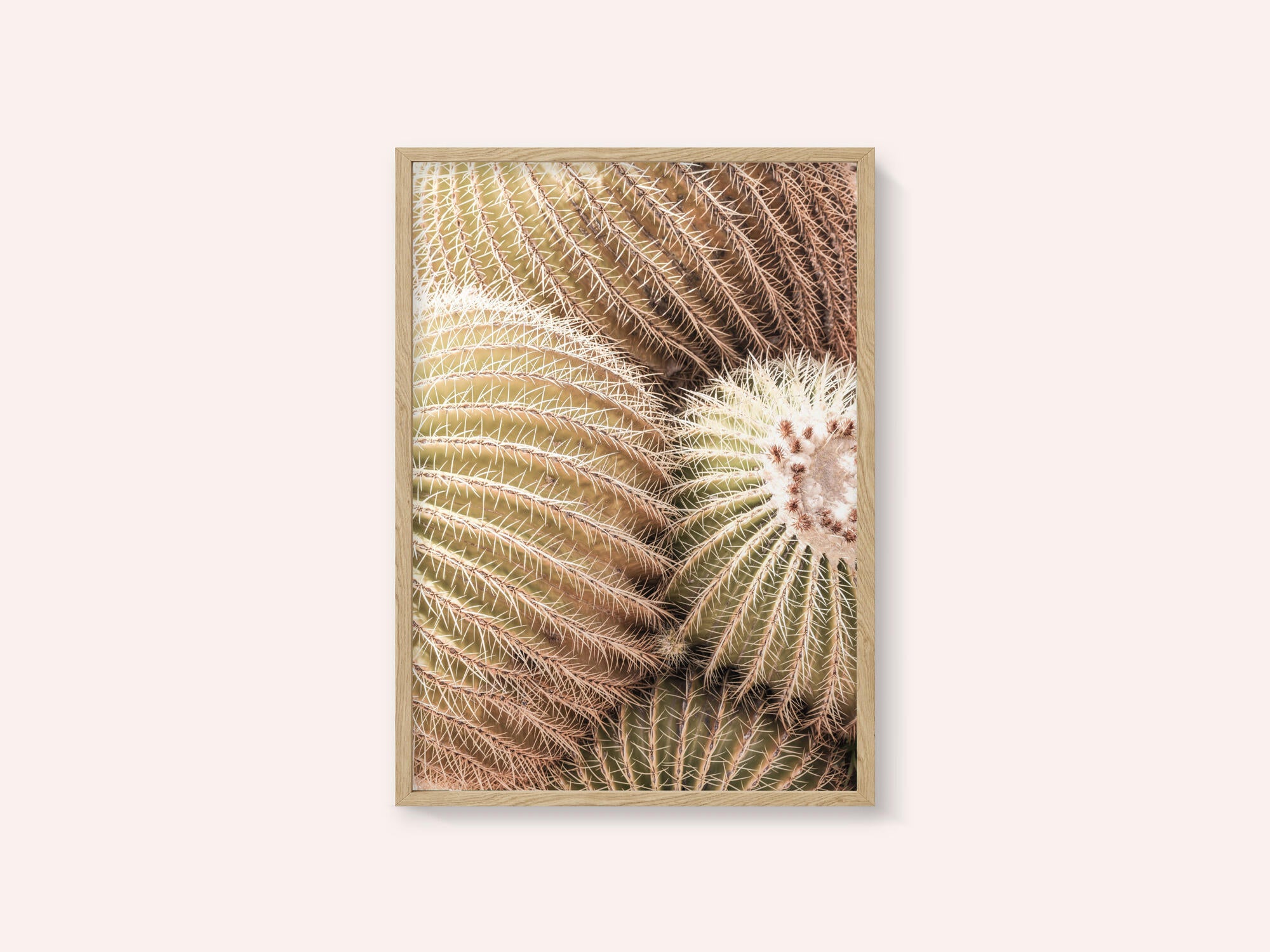 Spiral of Spines