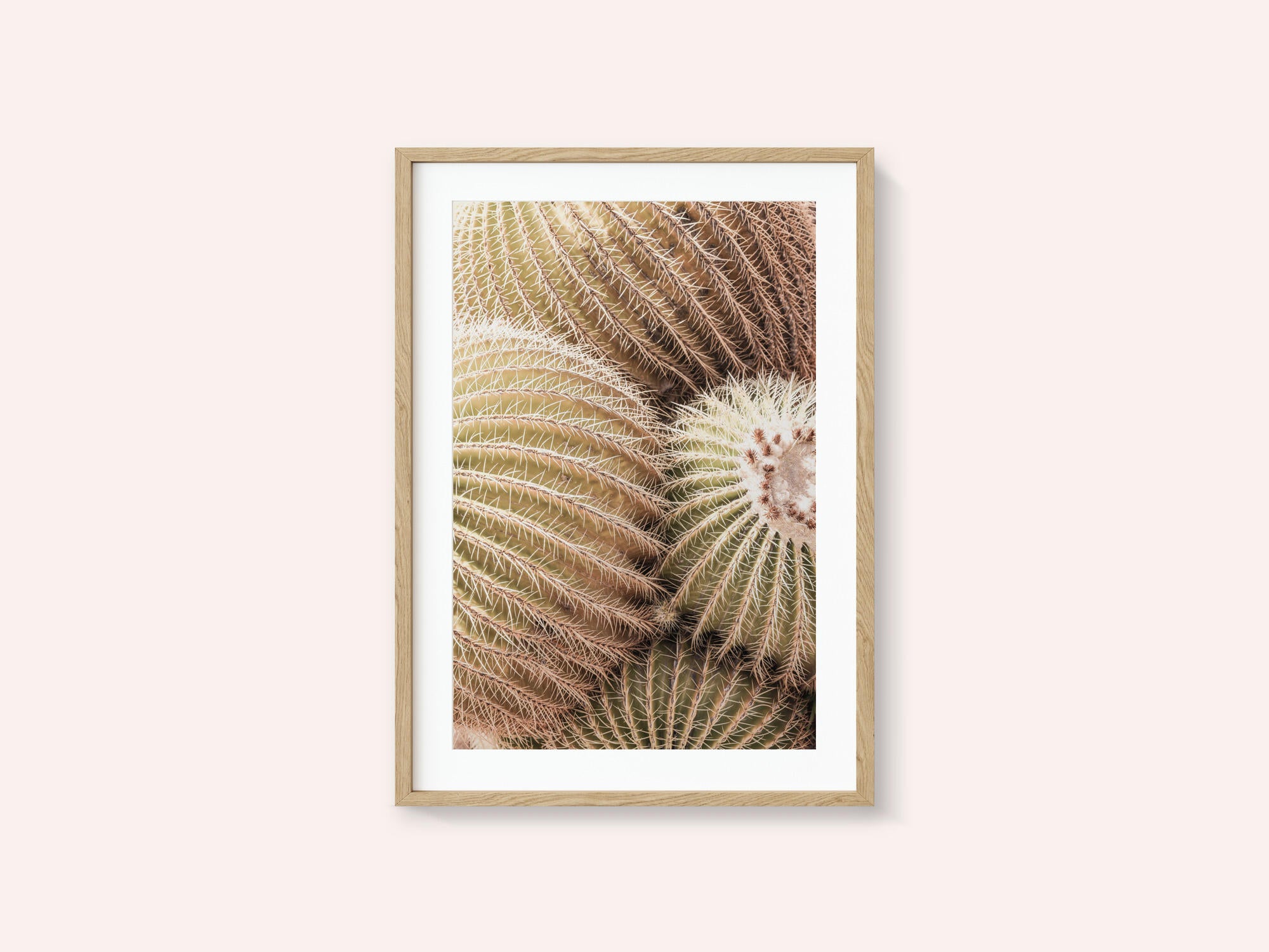 Spiral of Spines