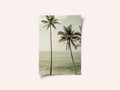 Oceanside Palms