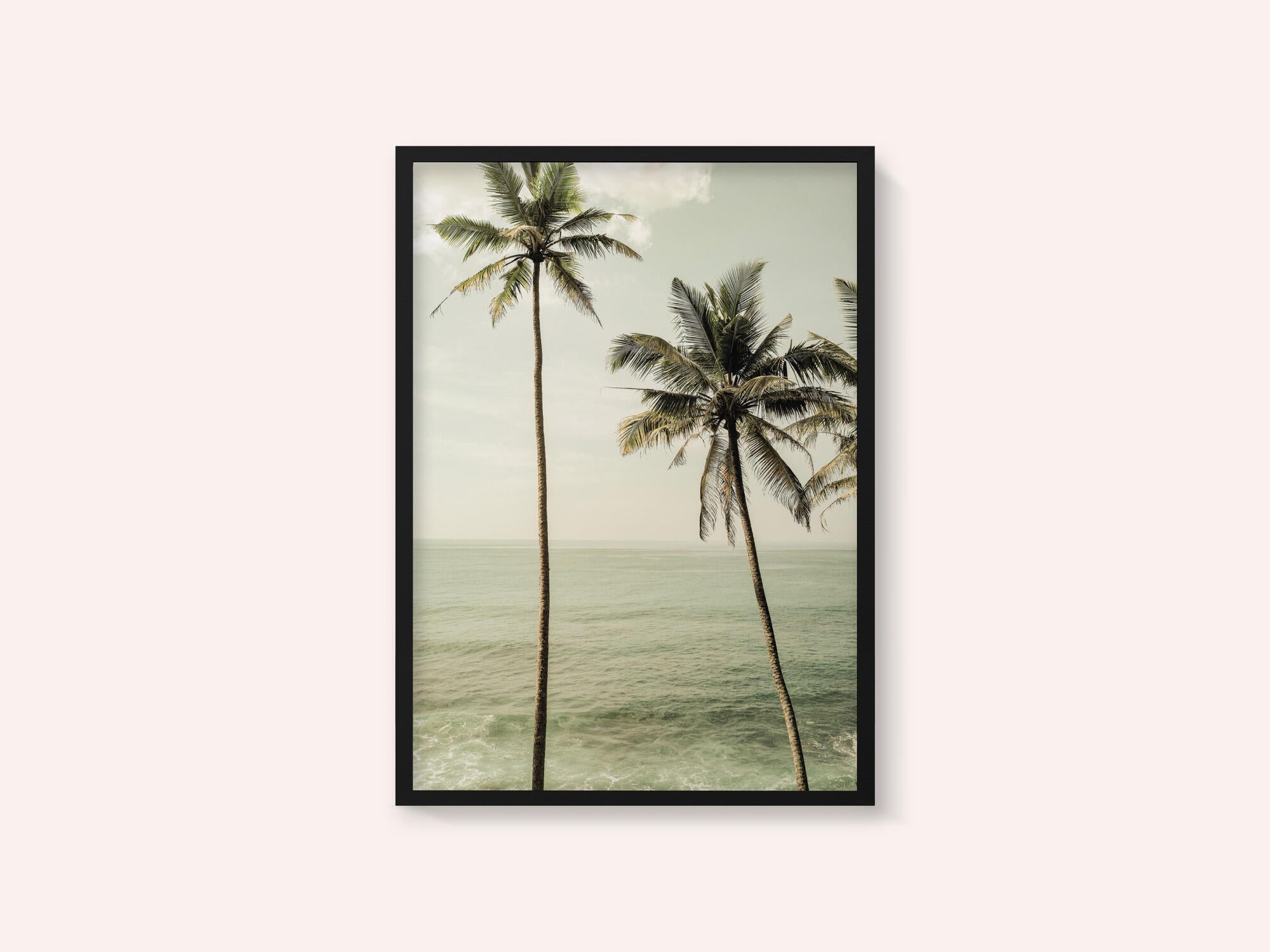 Oceanside Palms