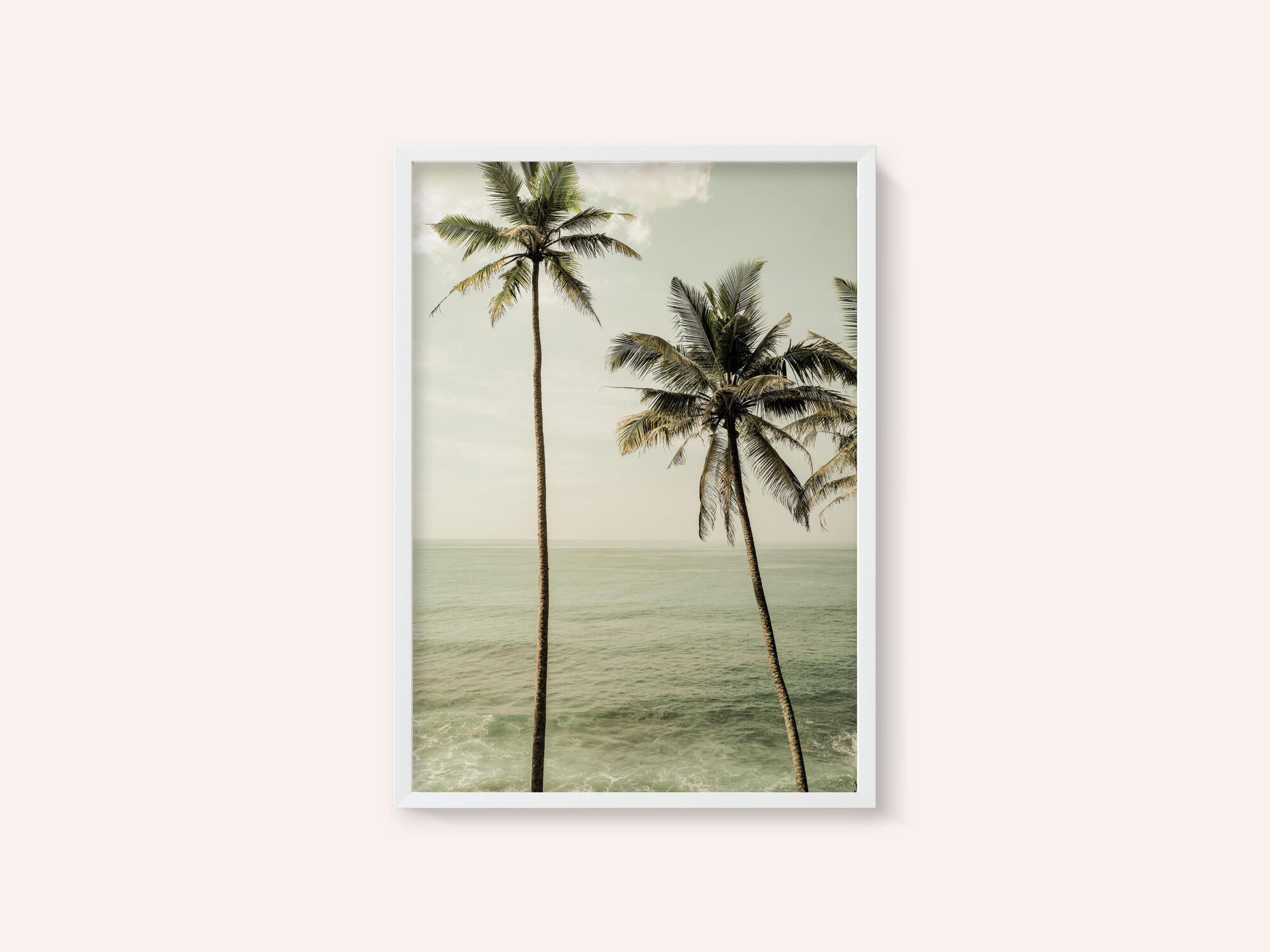 Oceanside Palms