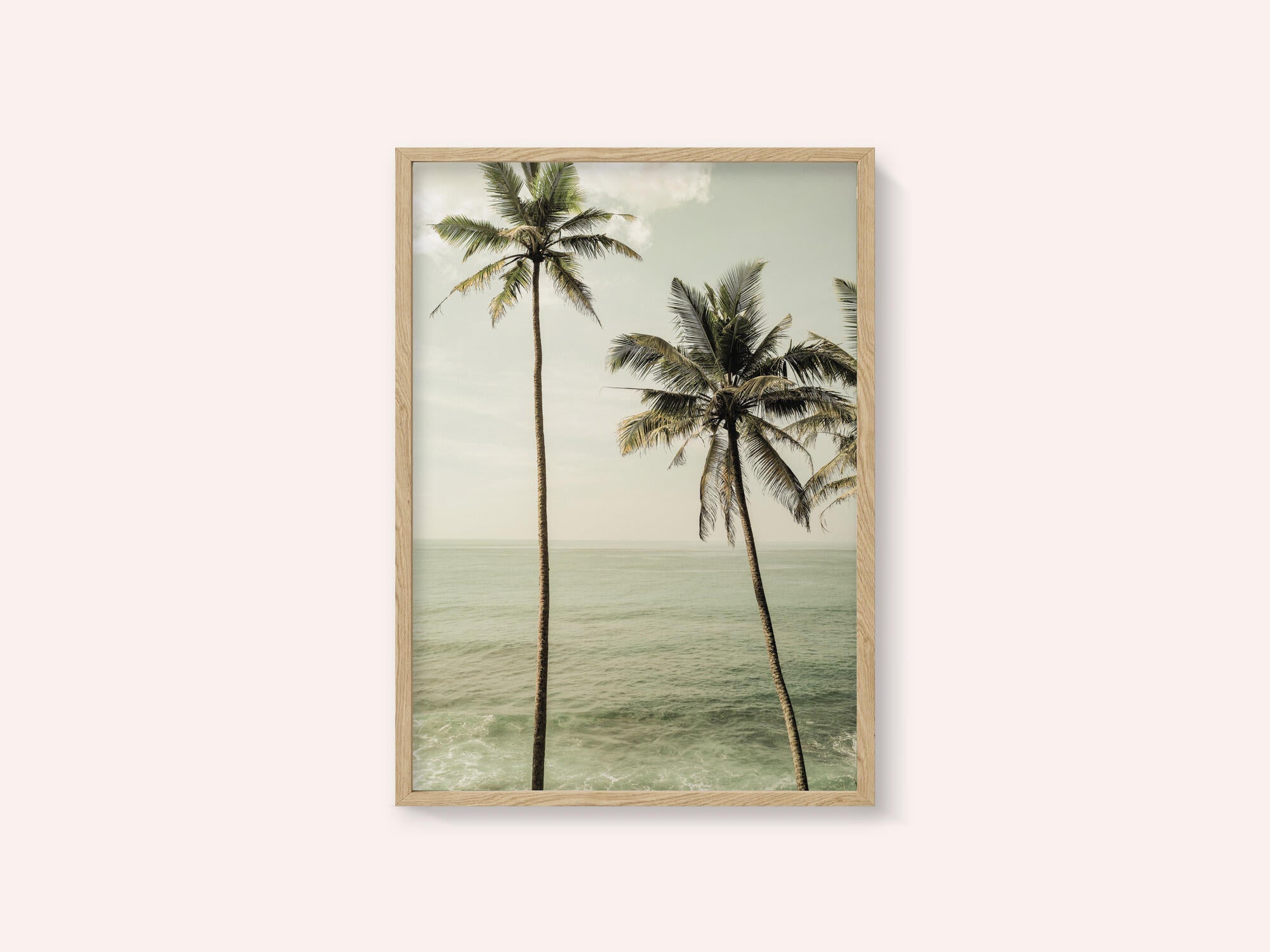 Oceanside Palms