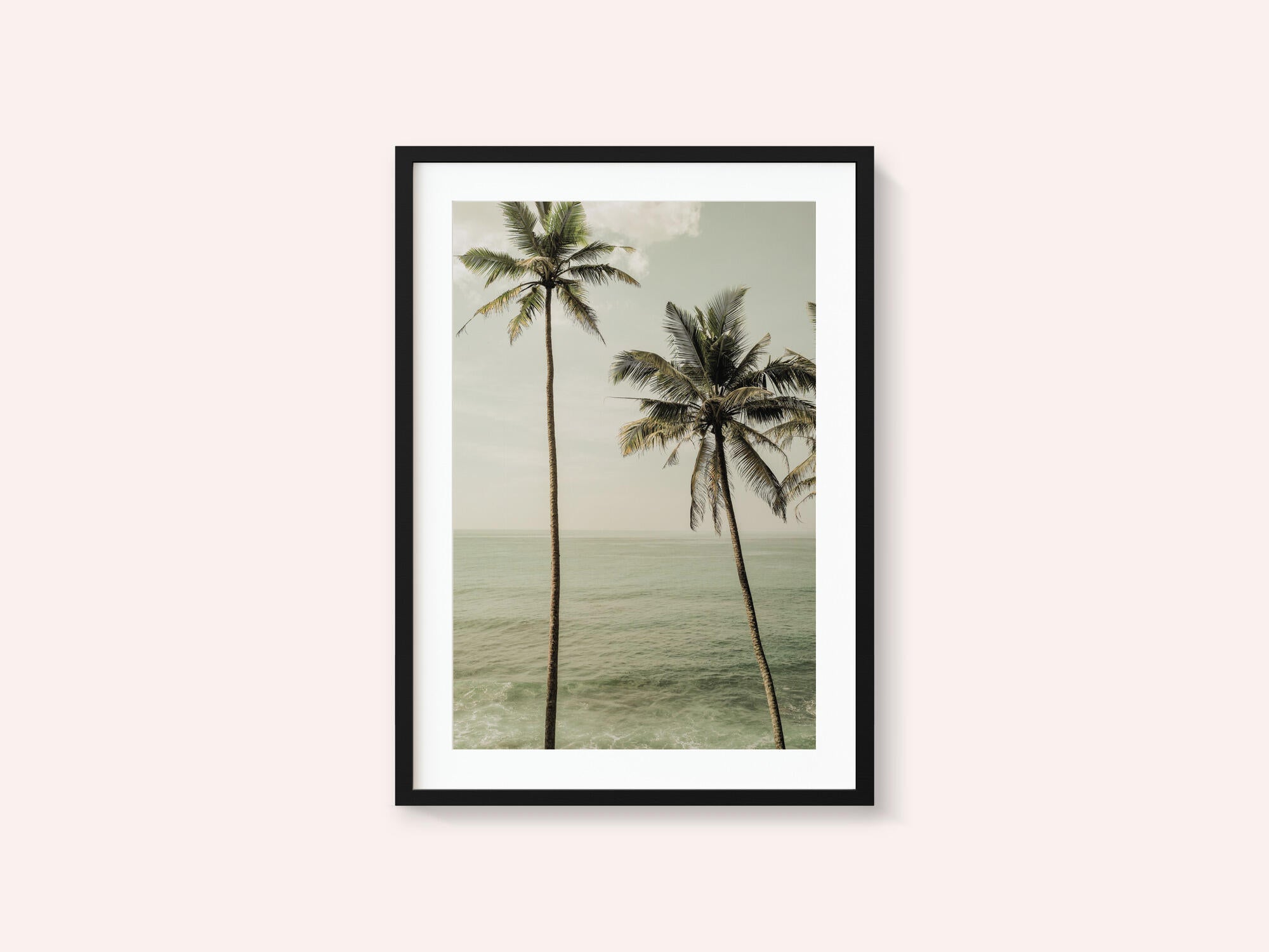 Oceanside Palms