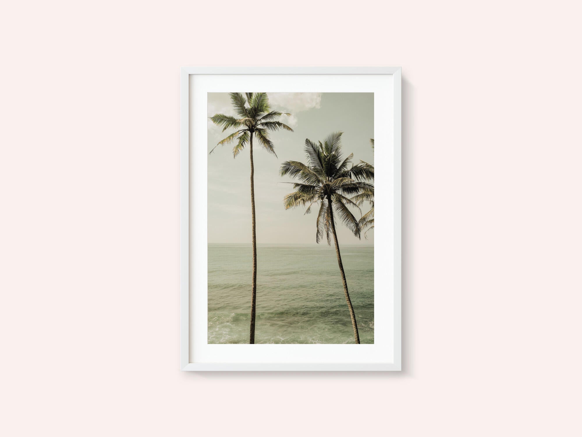 Oceanside Palms