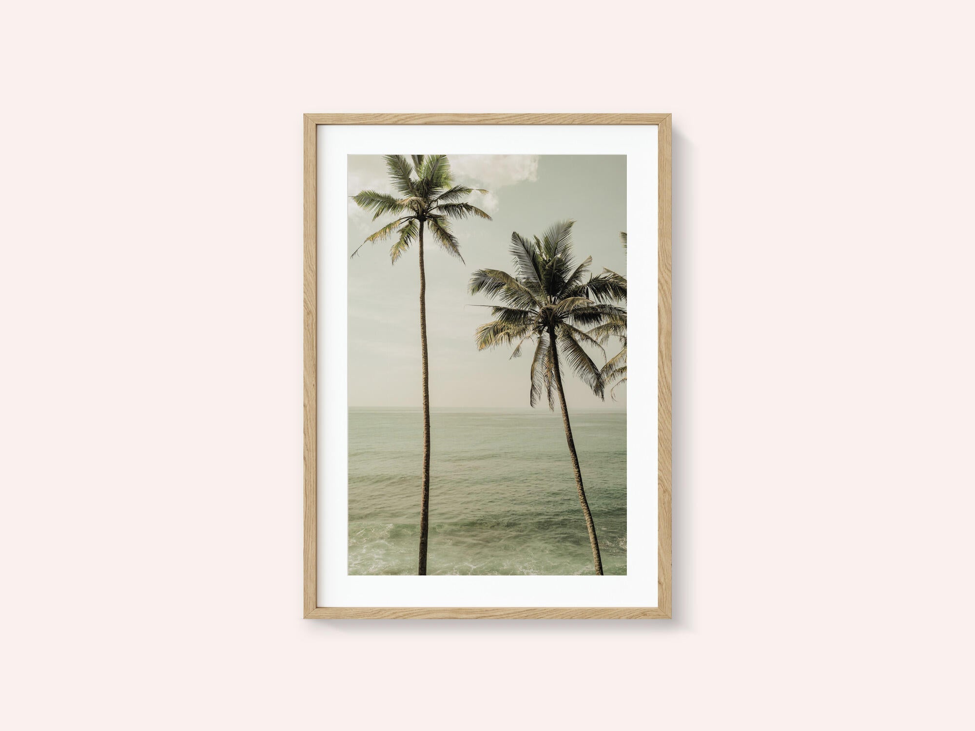 Oceanside Palms