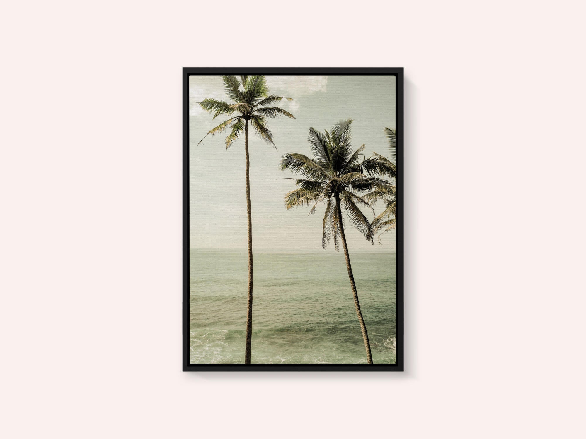 Oceanside Palms