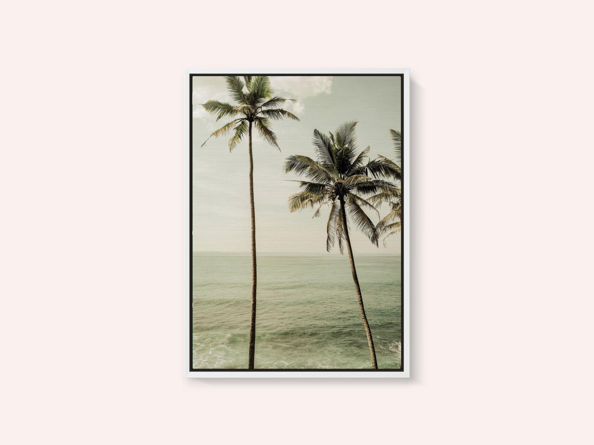 Oceanside Palms
