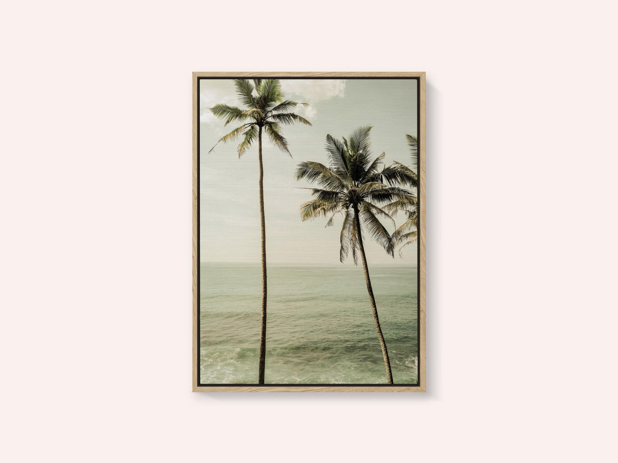 Oceanside Palms