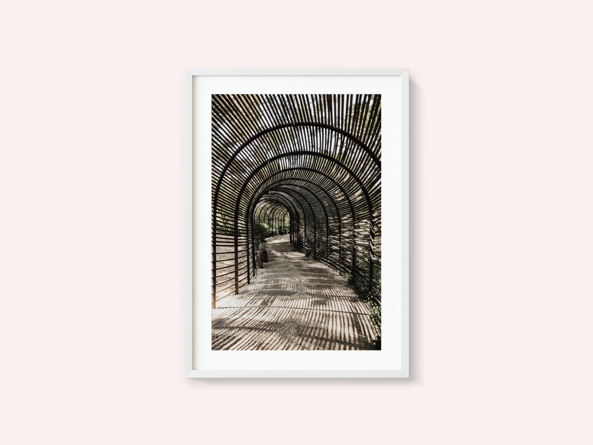 Shadow Garden