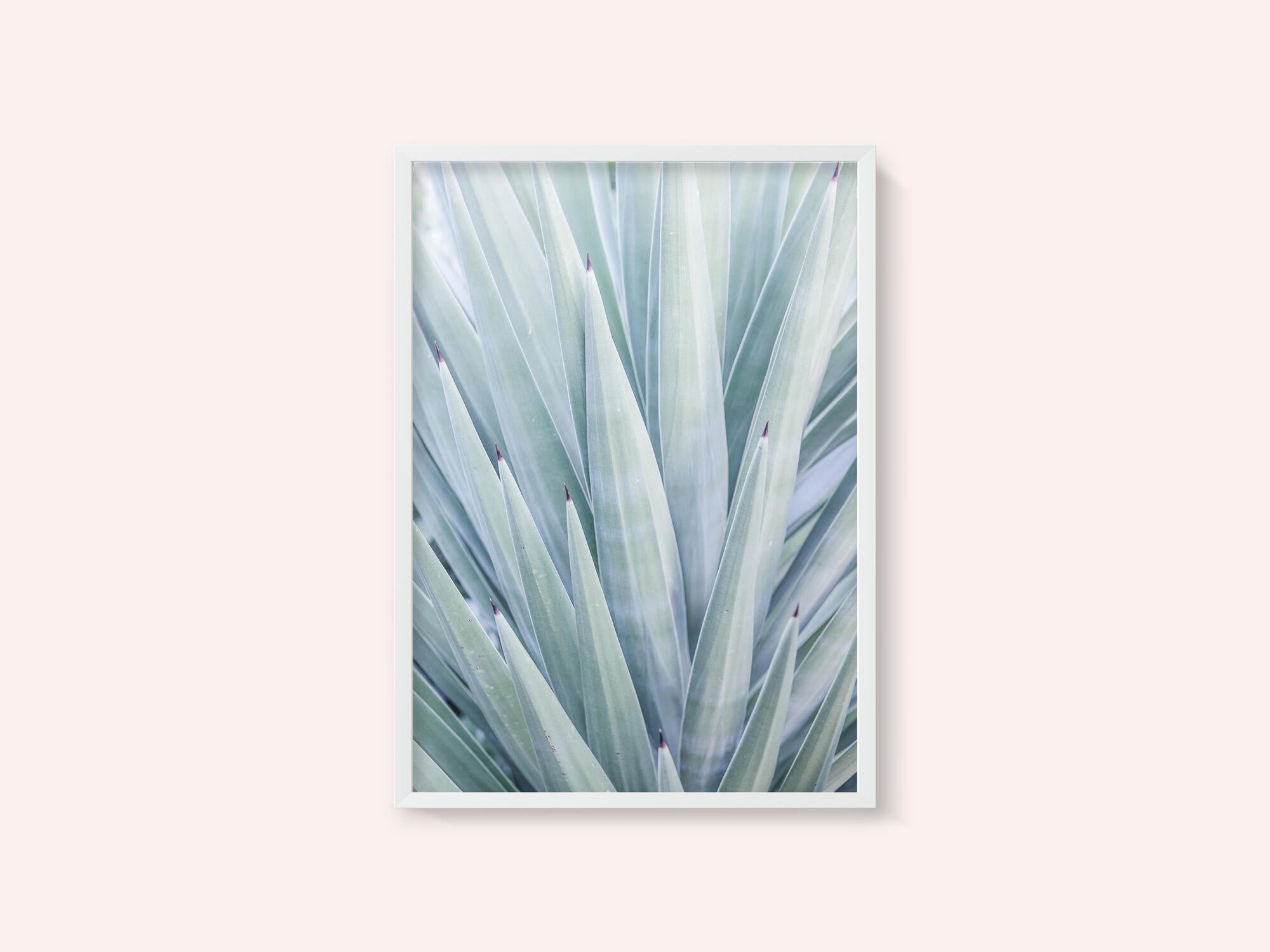 Azure Agave Dance
