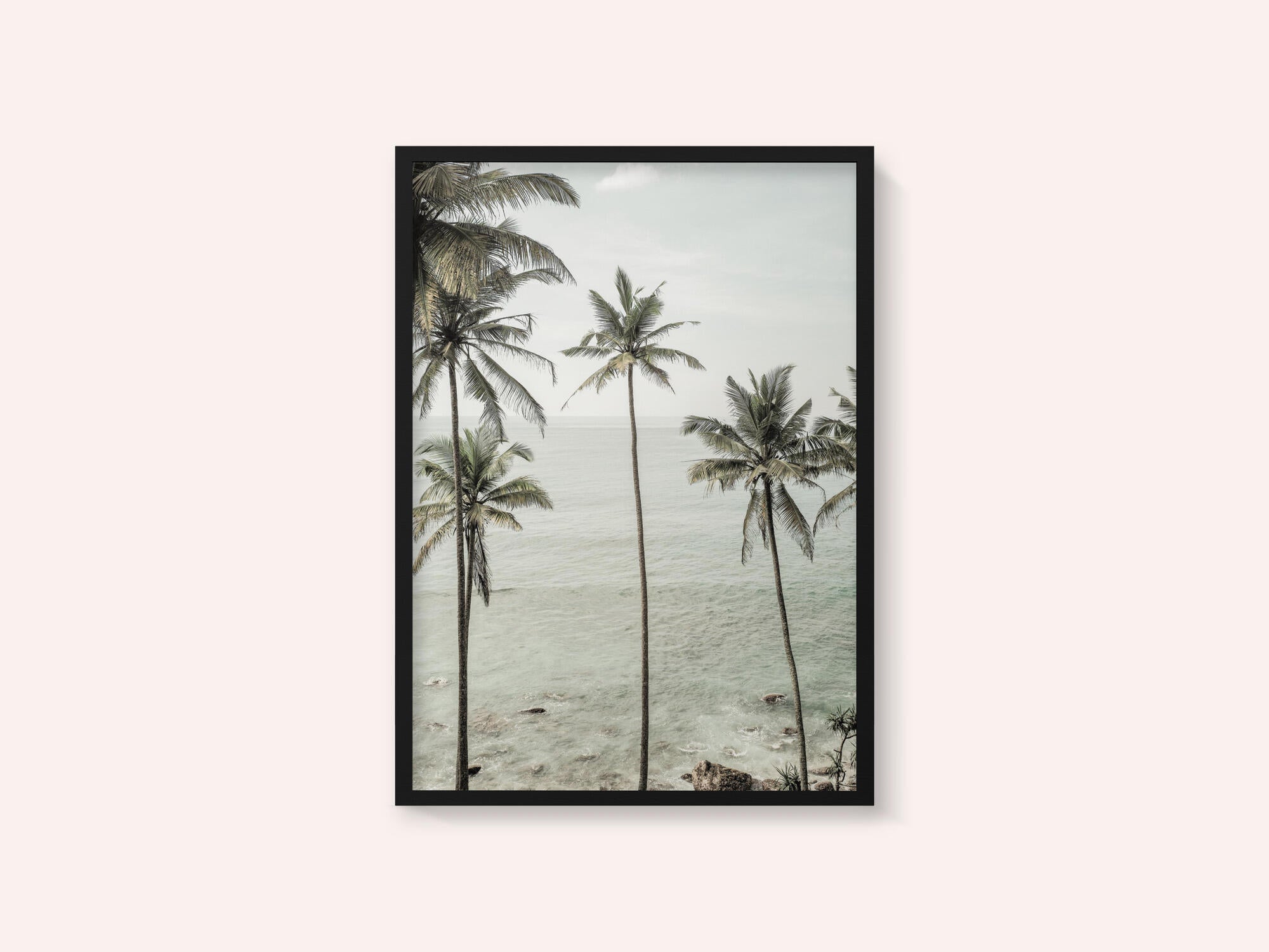 Tropical Dreams