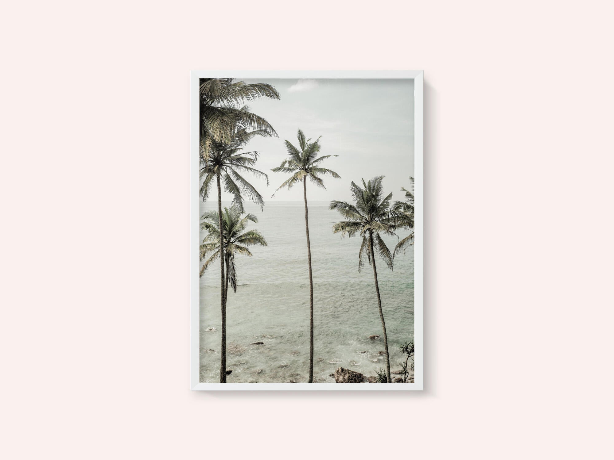 Tropical Dreams