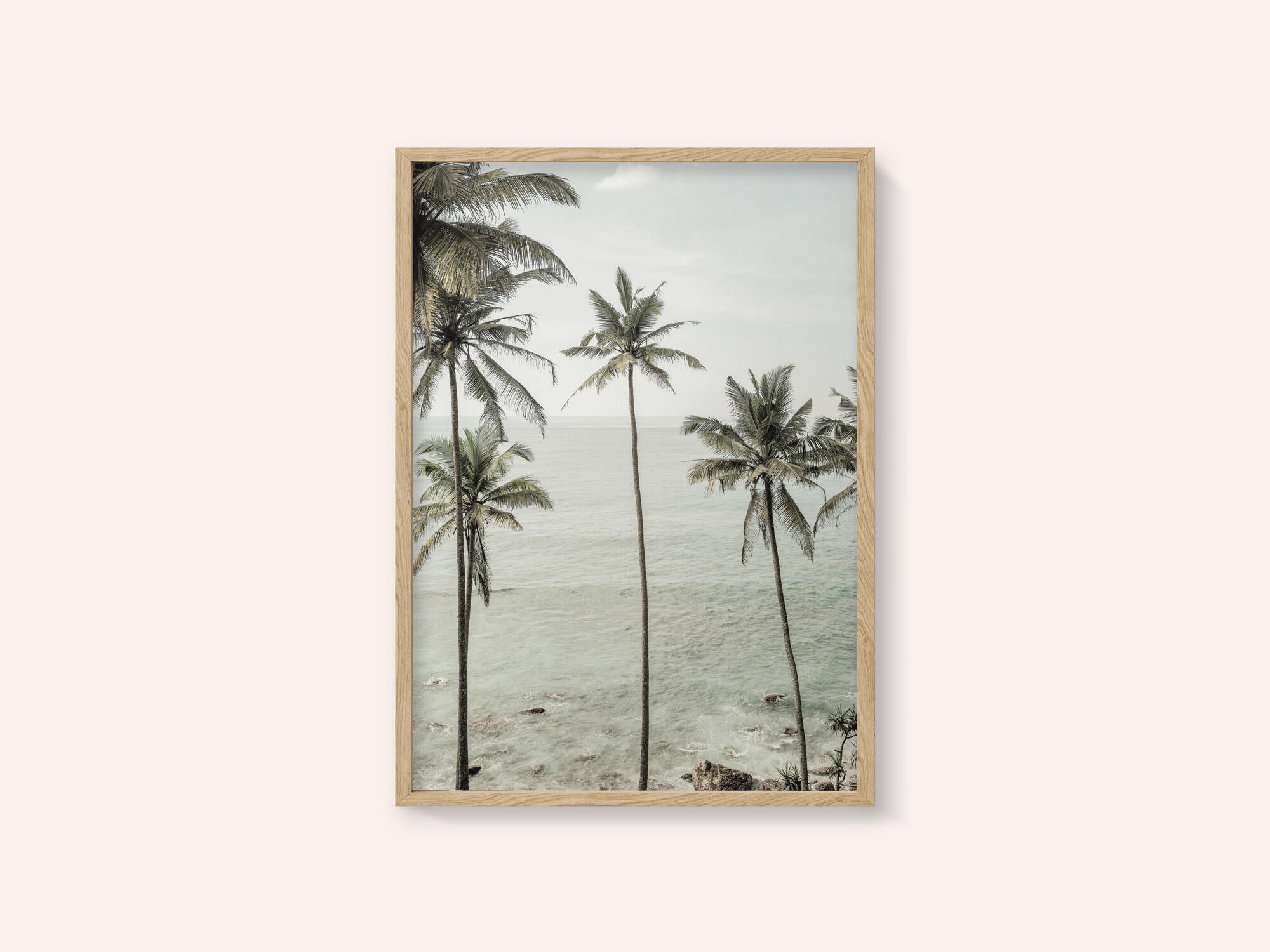 Tropical Dreams