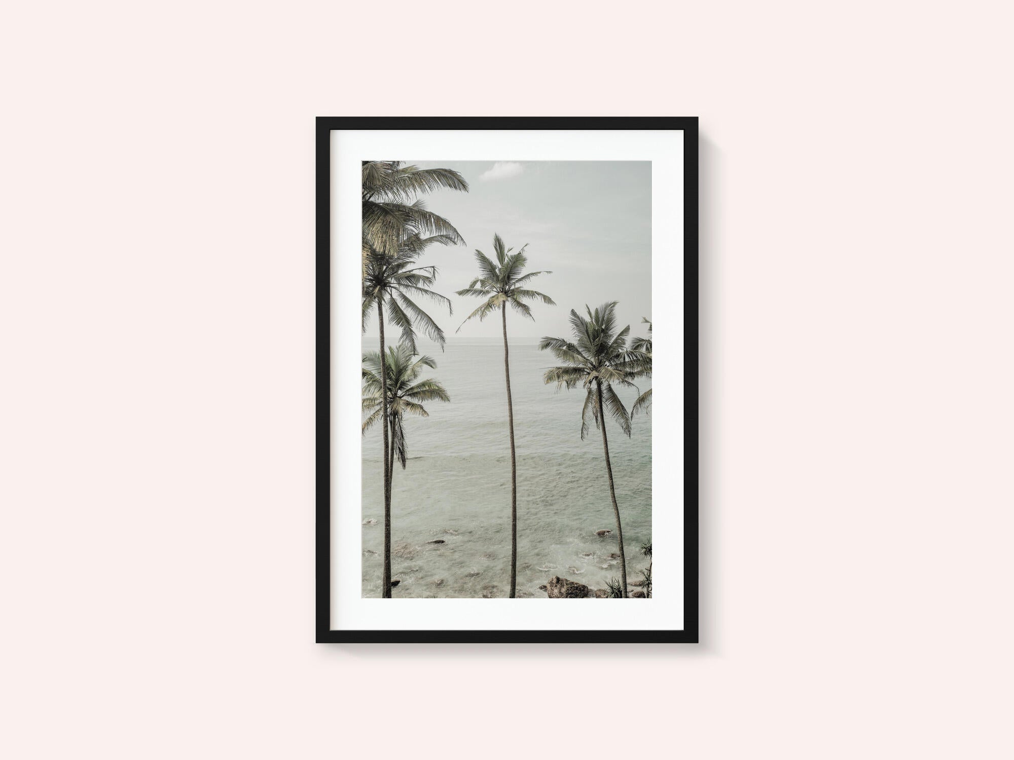 Tropical Dreams