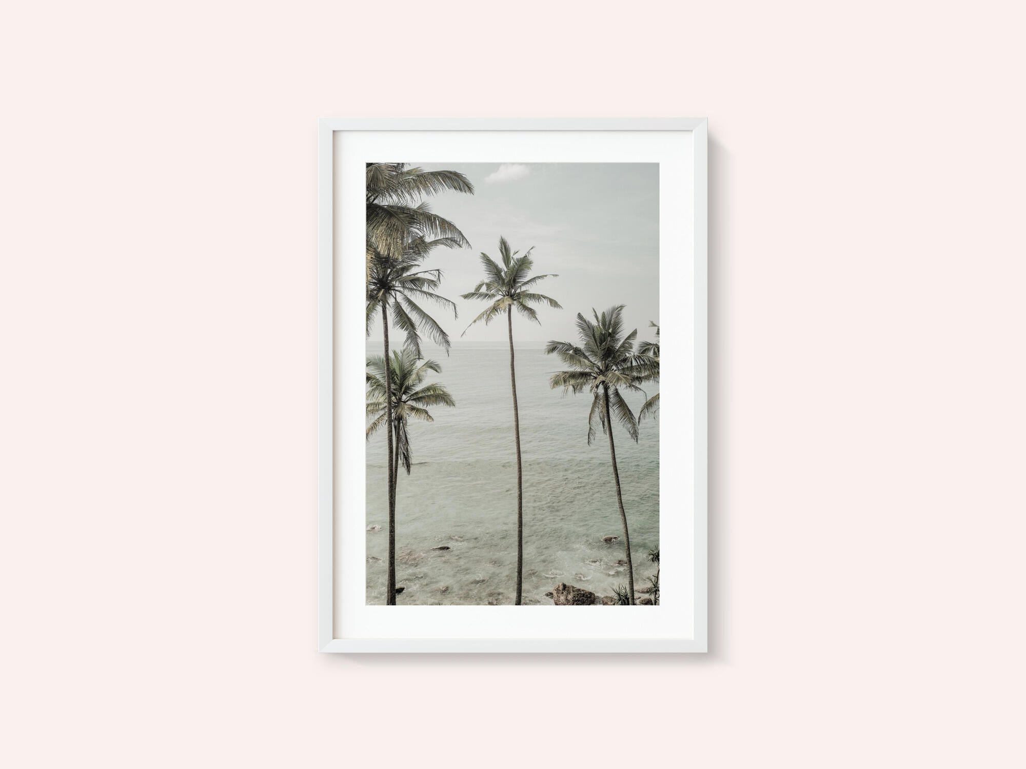 Tropical Dreams