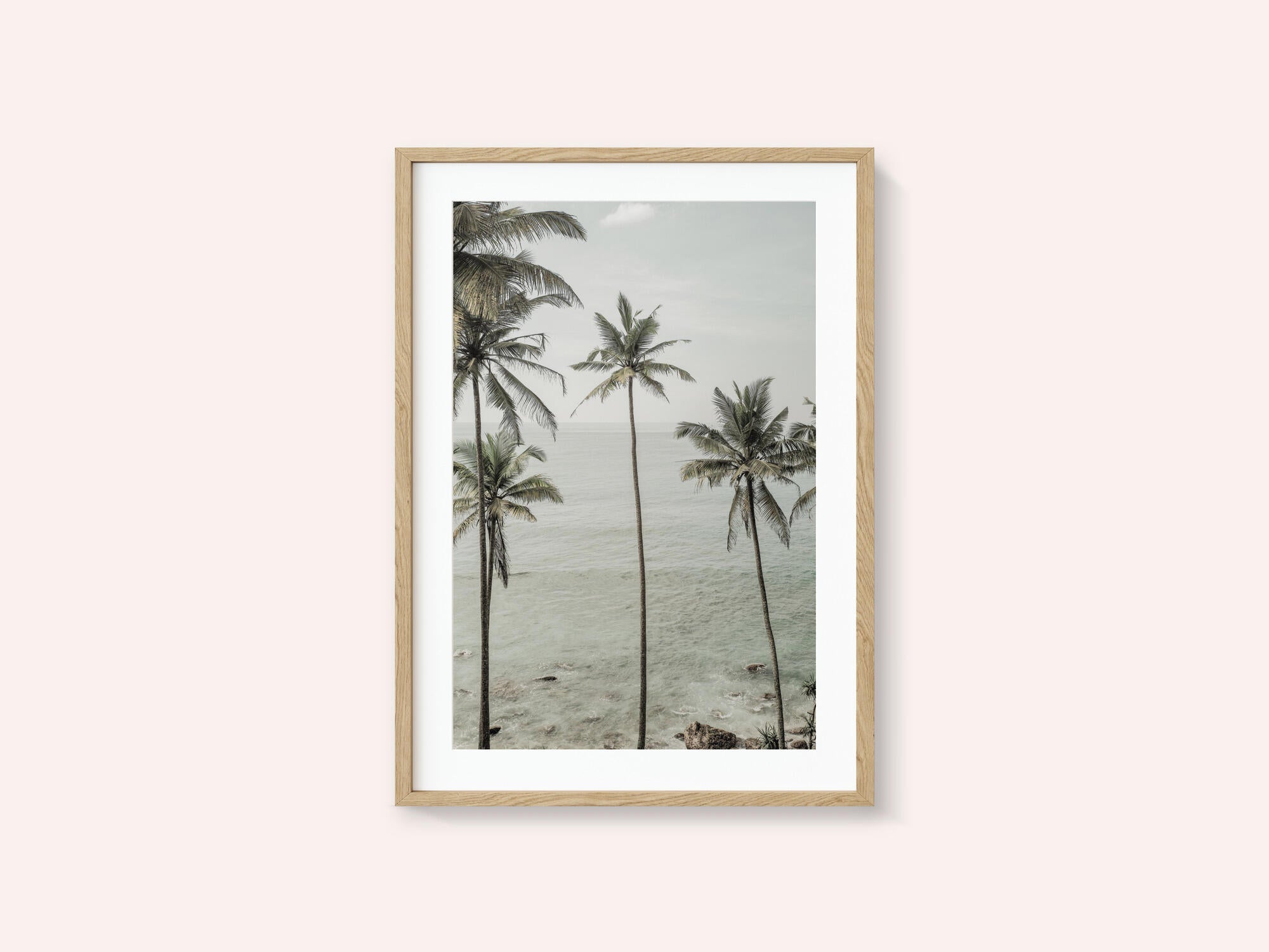 Tropical Dreams