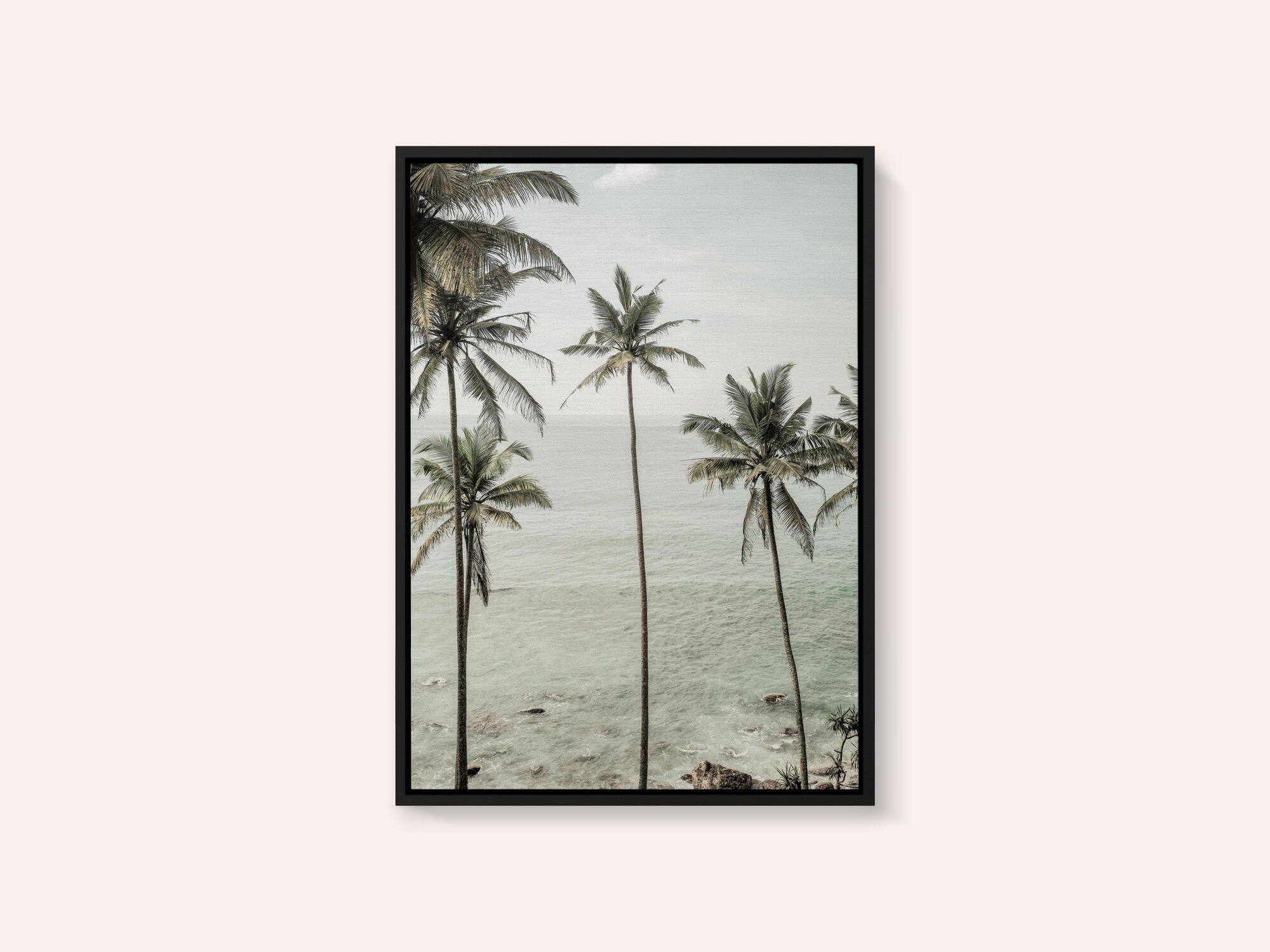 Tropical Dreams