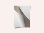 Paper Studies 15