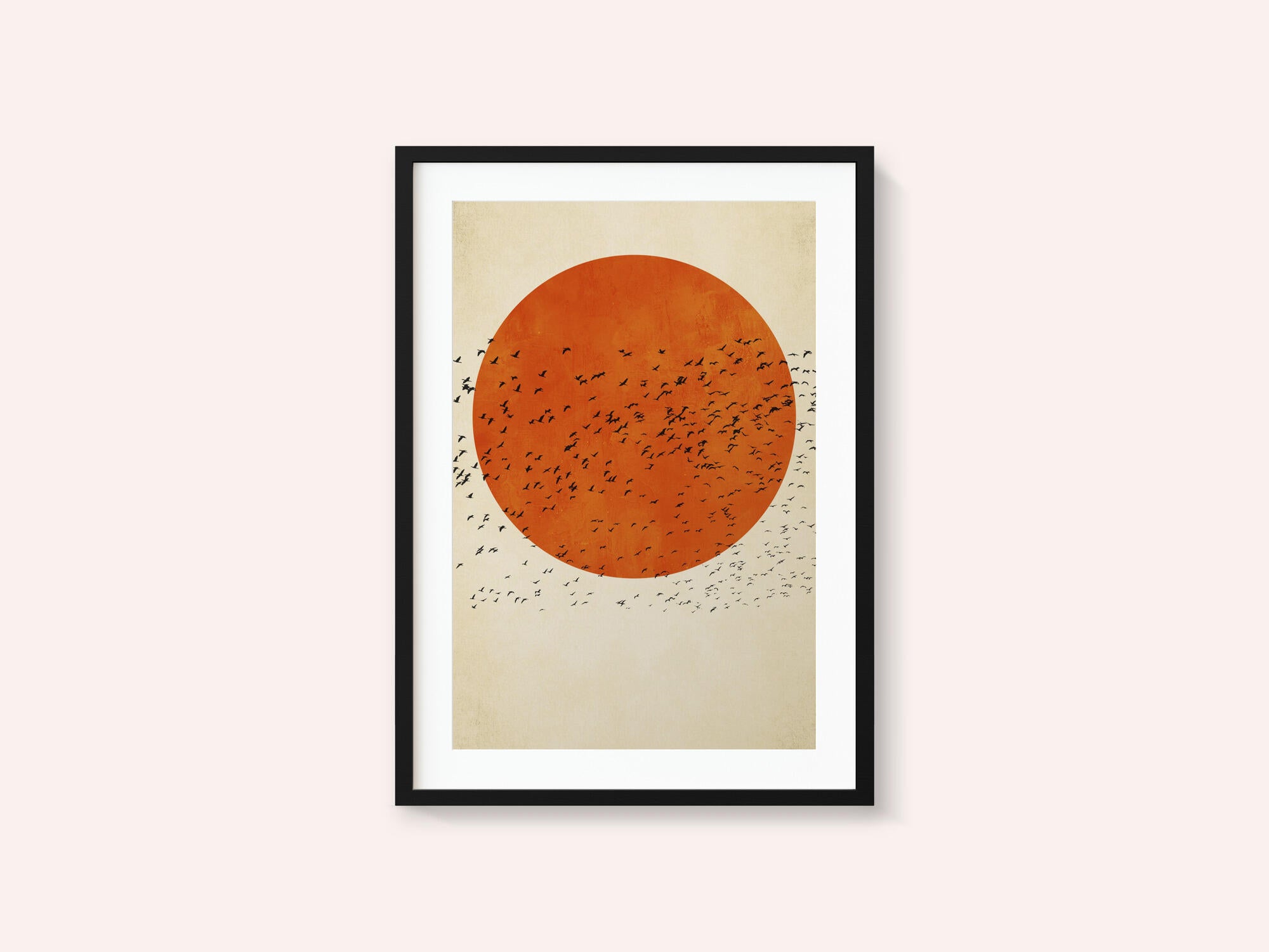 Birds In the Sun