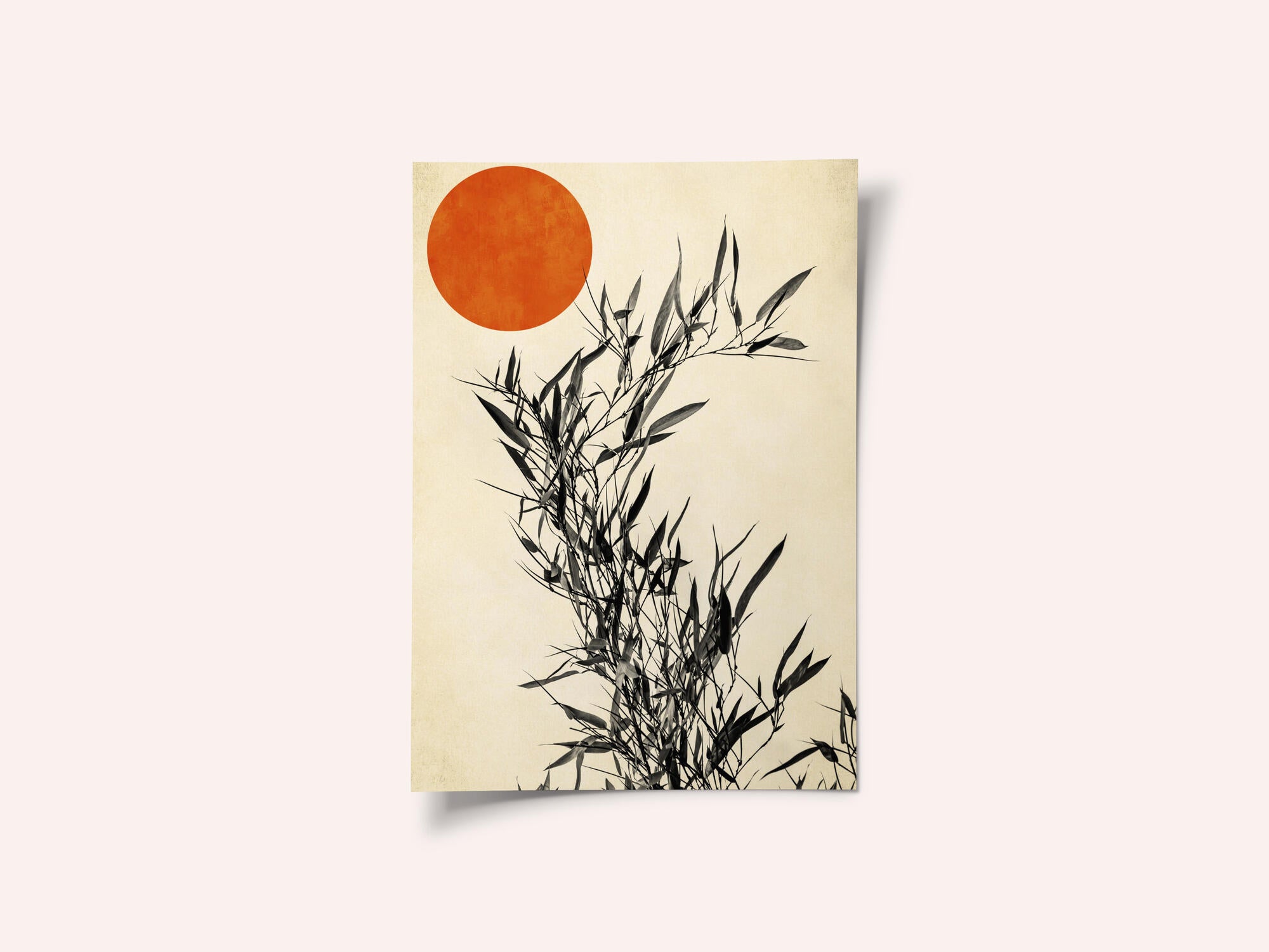 Japanese Birch