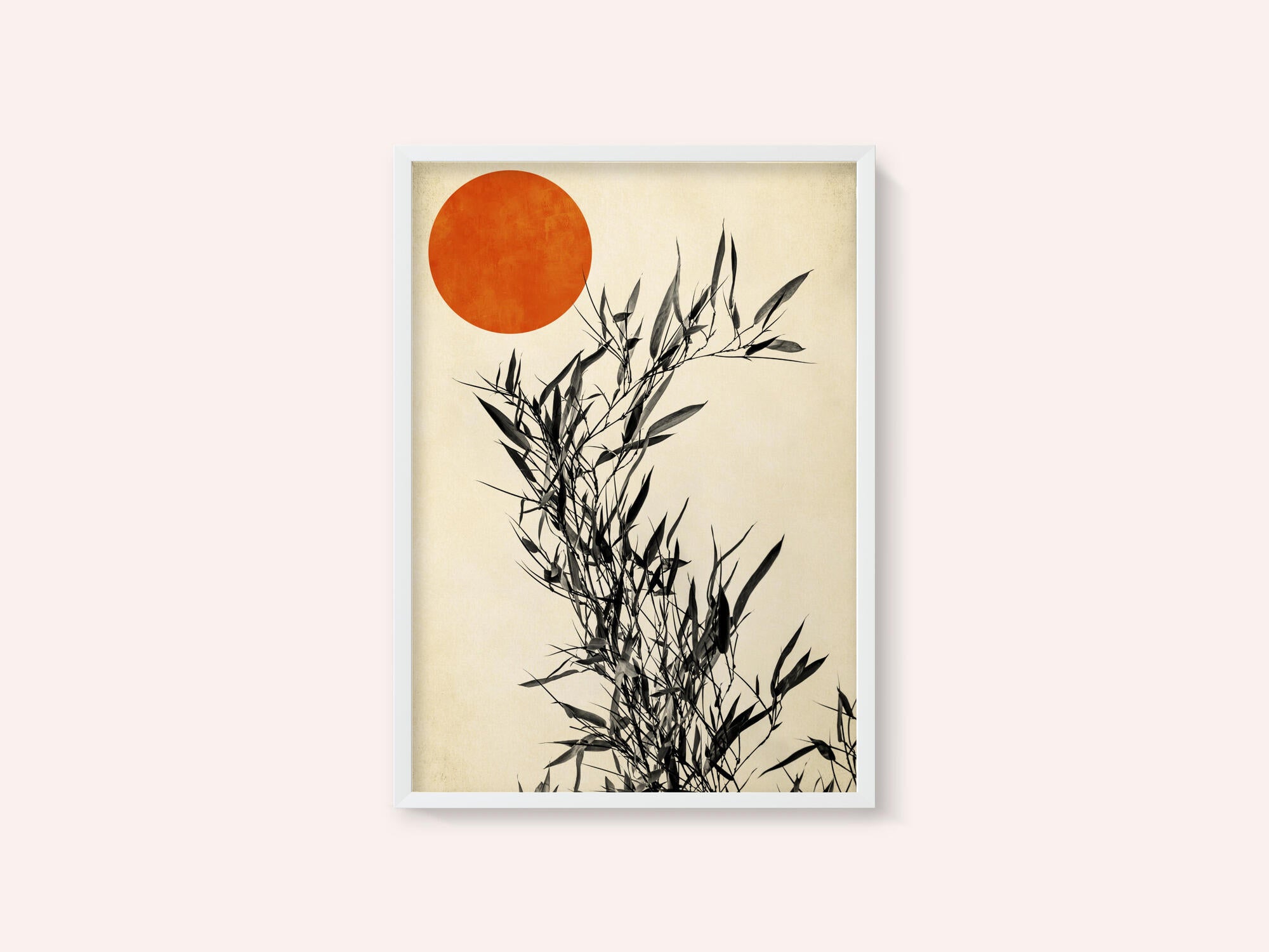 Japanese Birch