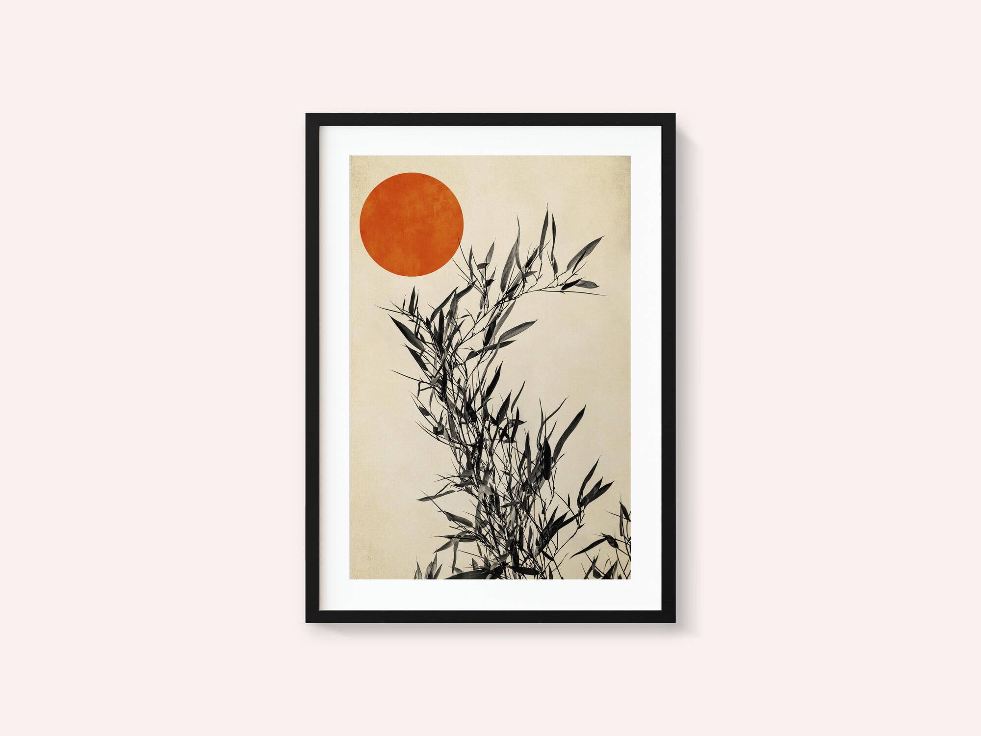 Japanese Birch