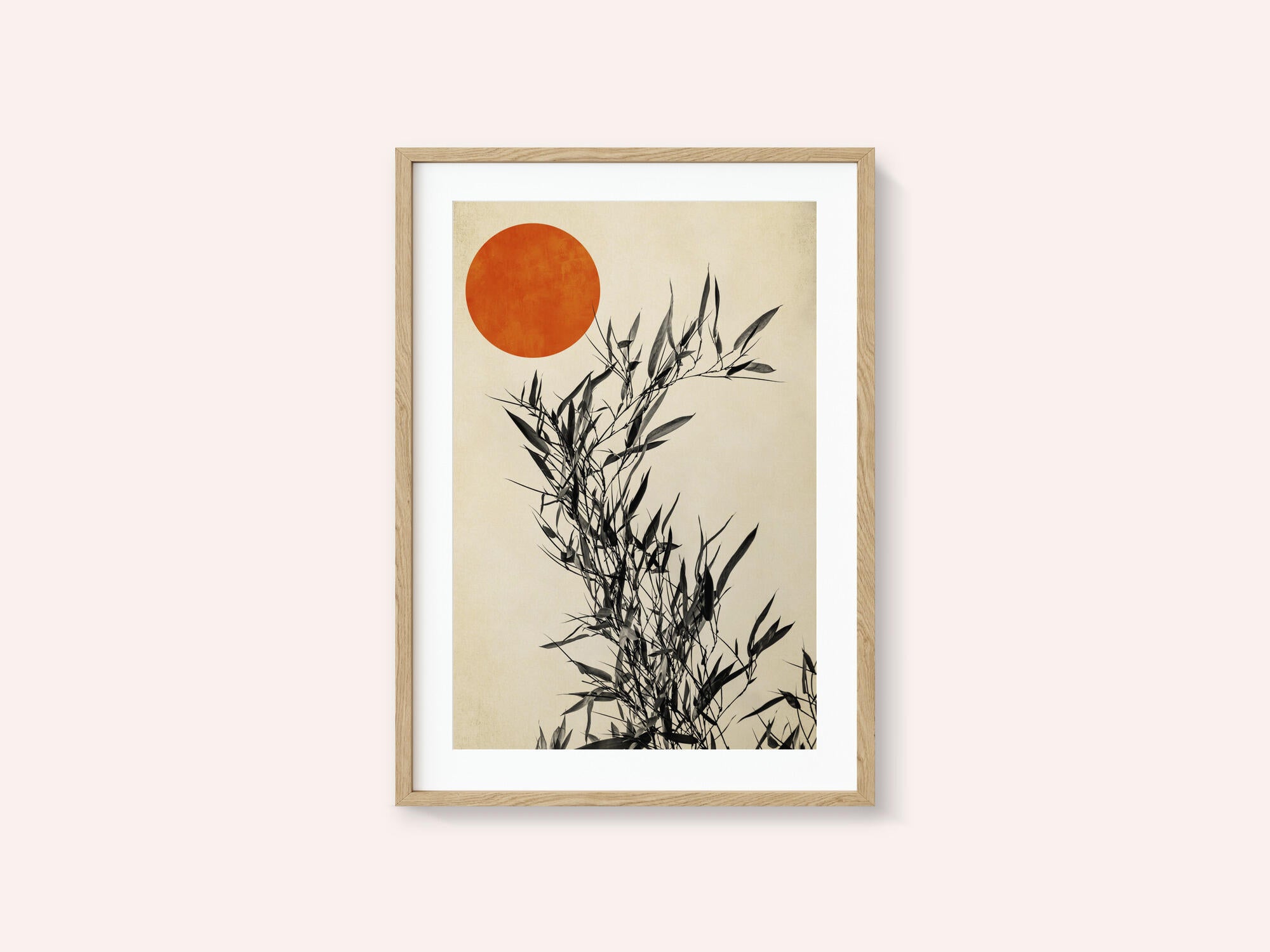 Japanese Birch