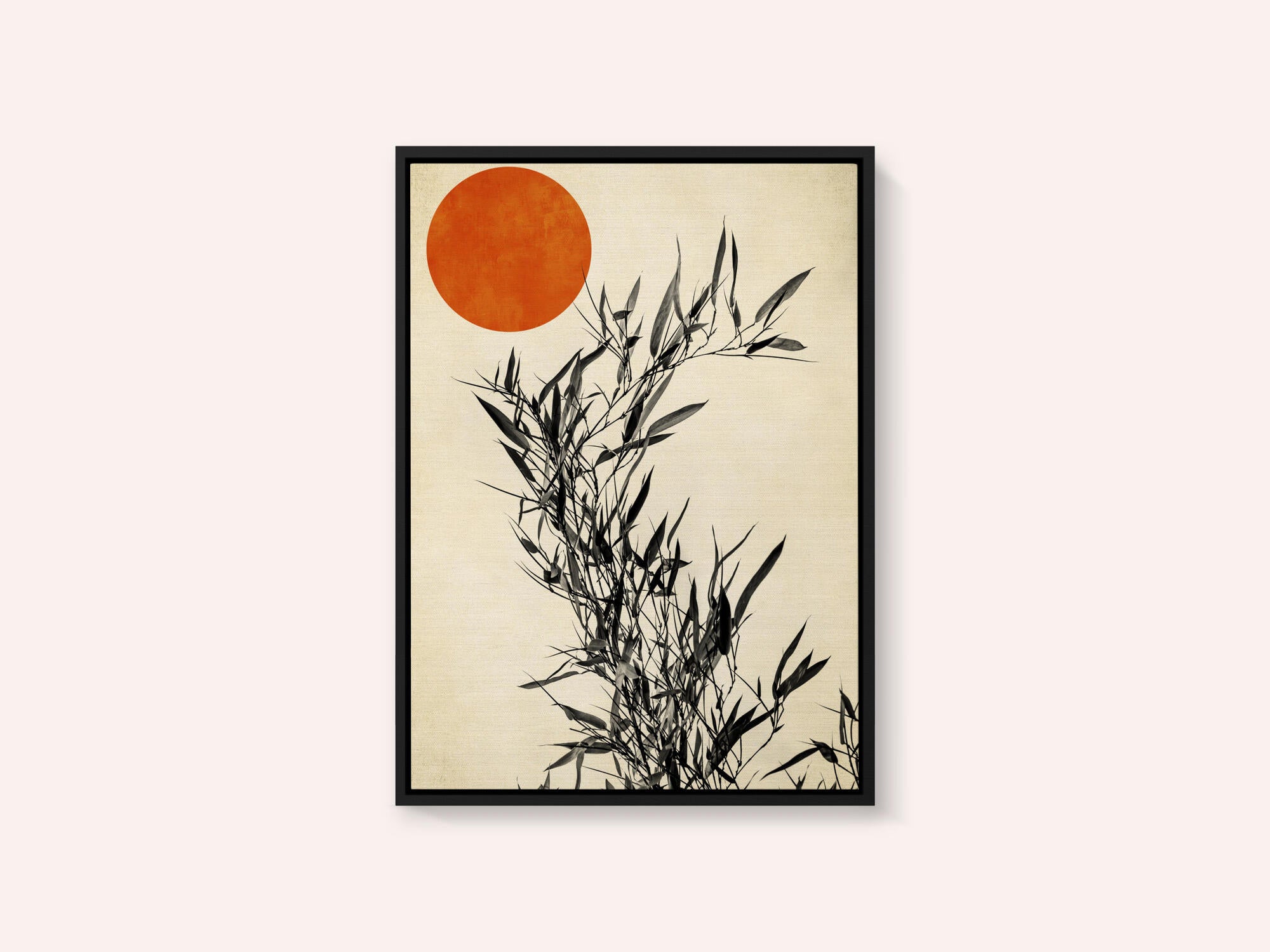 Japanese Birch