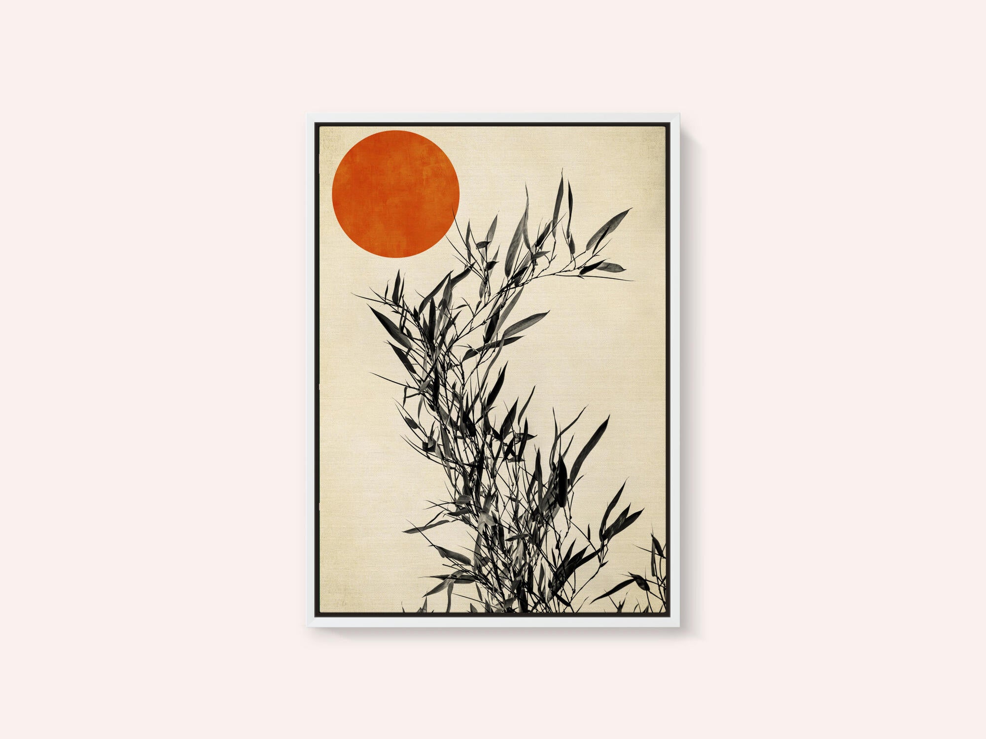 Japanese Birch