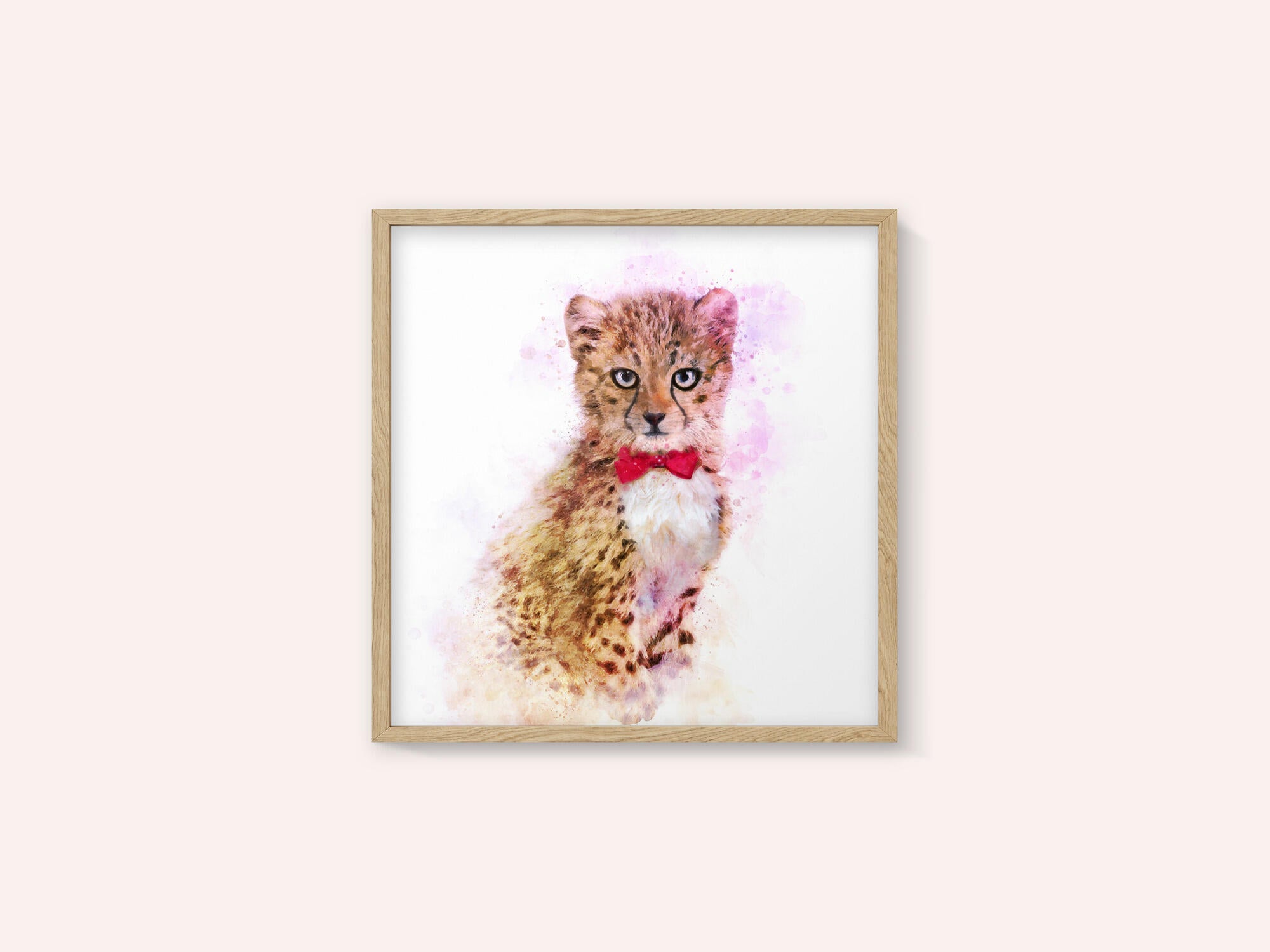 Dapper Cheetah Cub