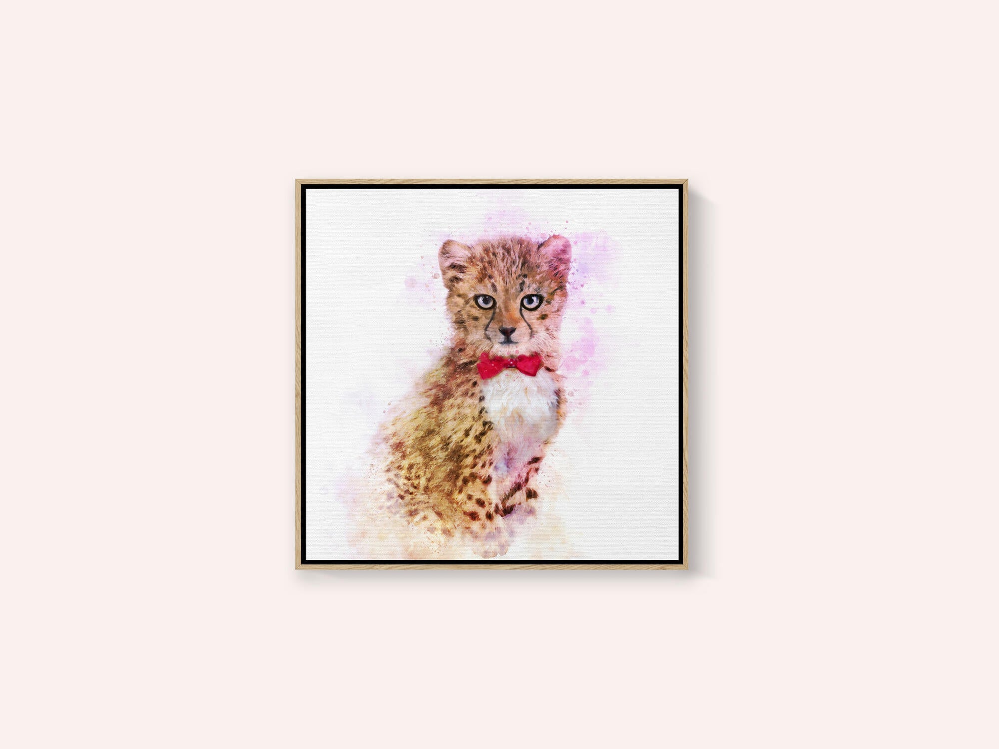 Dapper Cheetah Cub