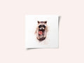 Sweet Raccoon Delight